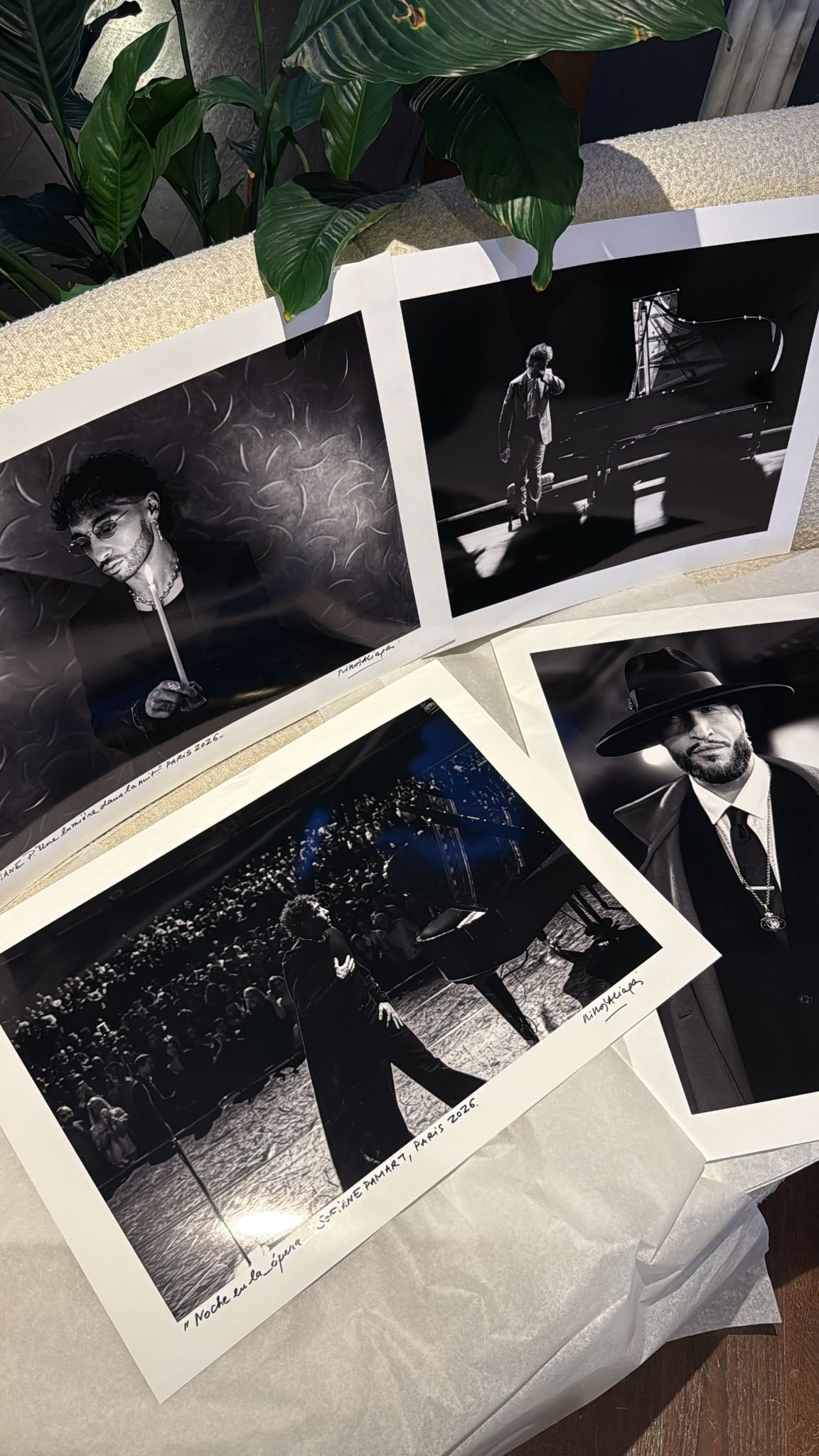 WhatsApp Image 2026-02-11 at 08.08.46 (8).jpeg