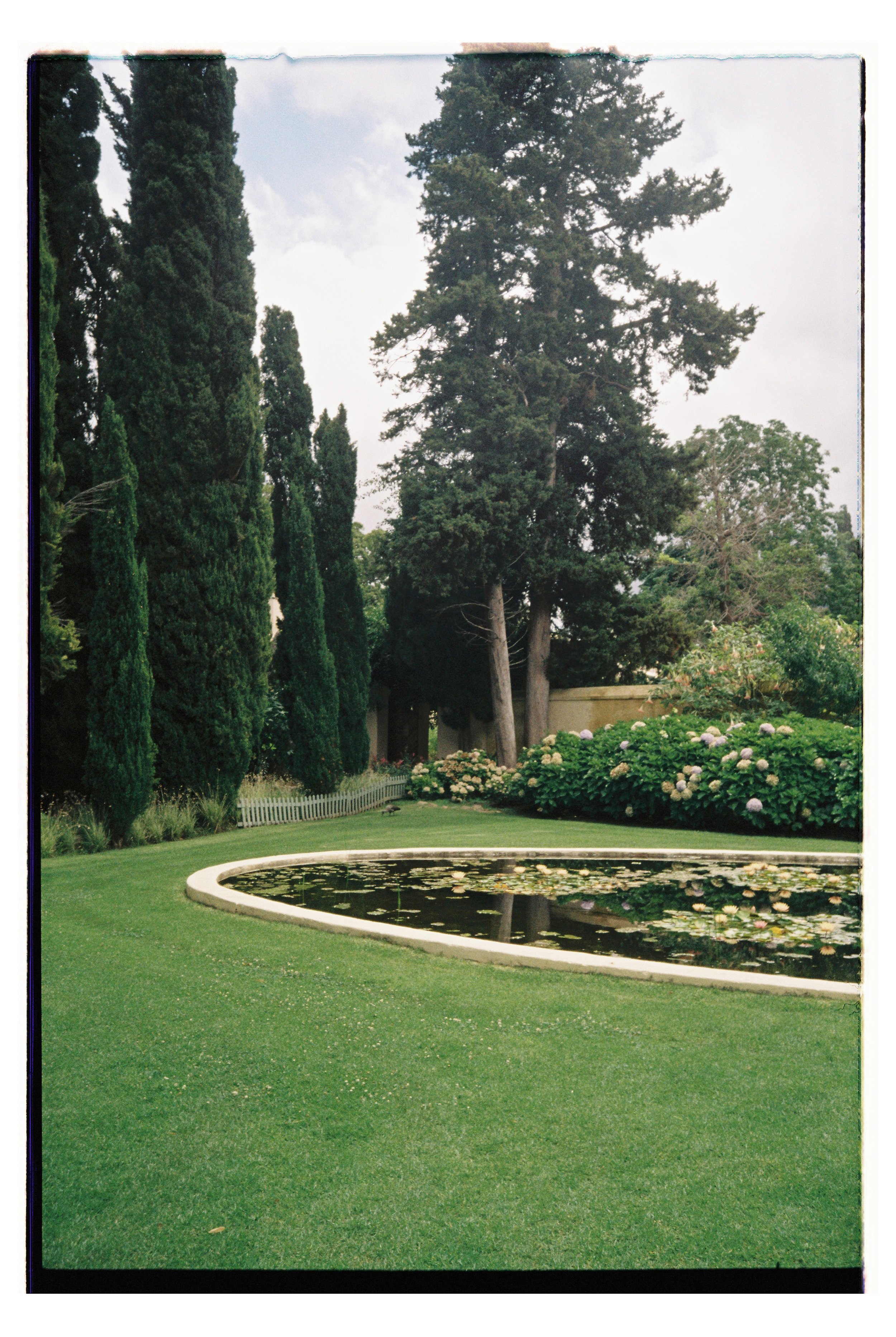 Hochzeitsfotografie Analog Köln.jpg