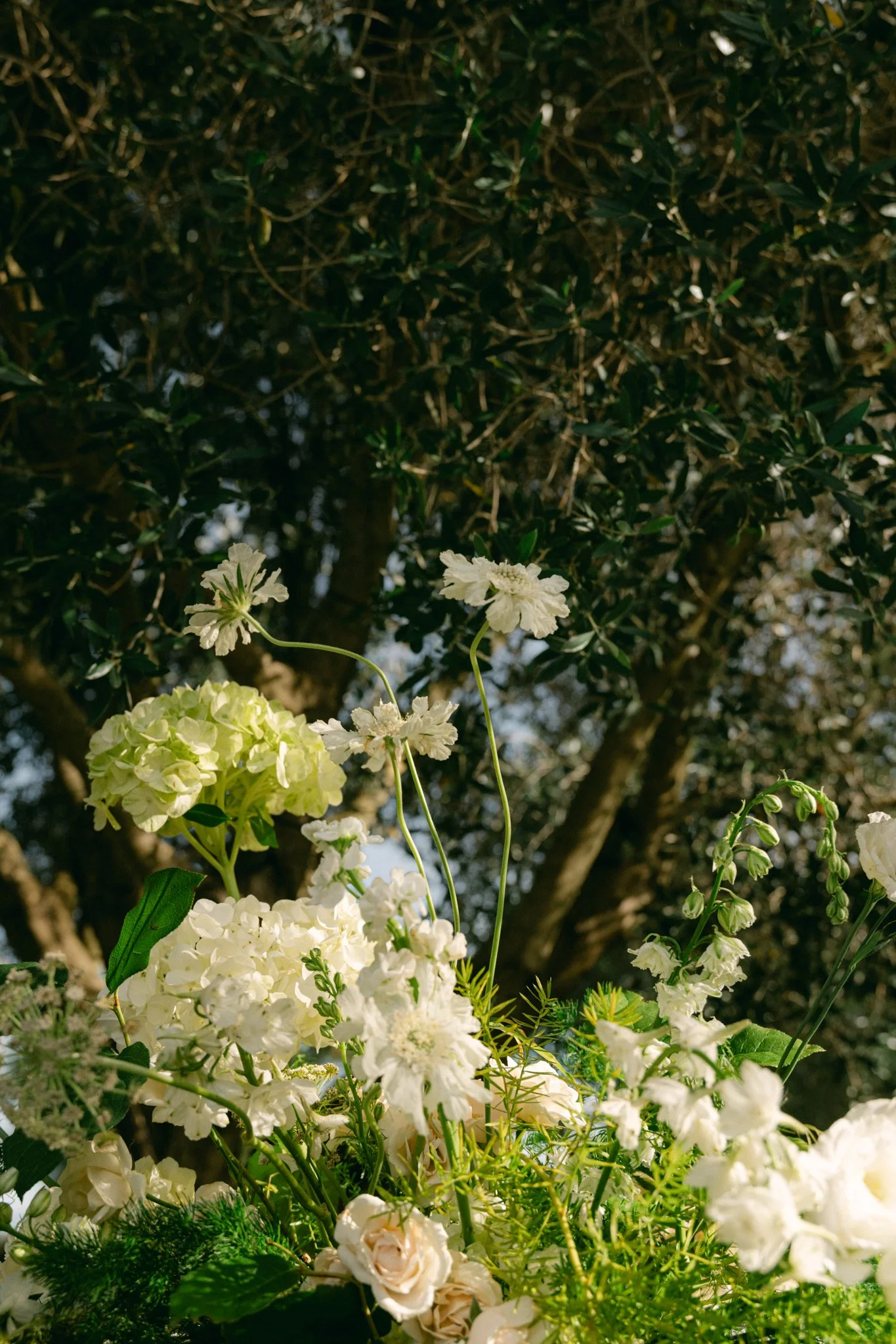 Wedding Photographer Mallorca Finca Morneta Babette Weddings-48.jpg