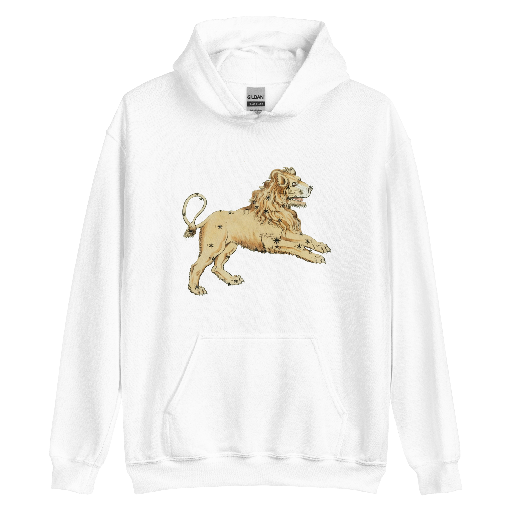 unisex-heavy-blend-hoodie-white-front-68c94c3722375.png