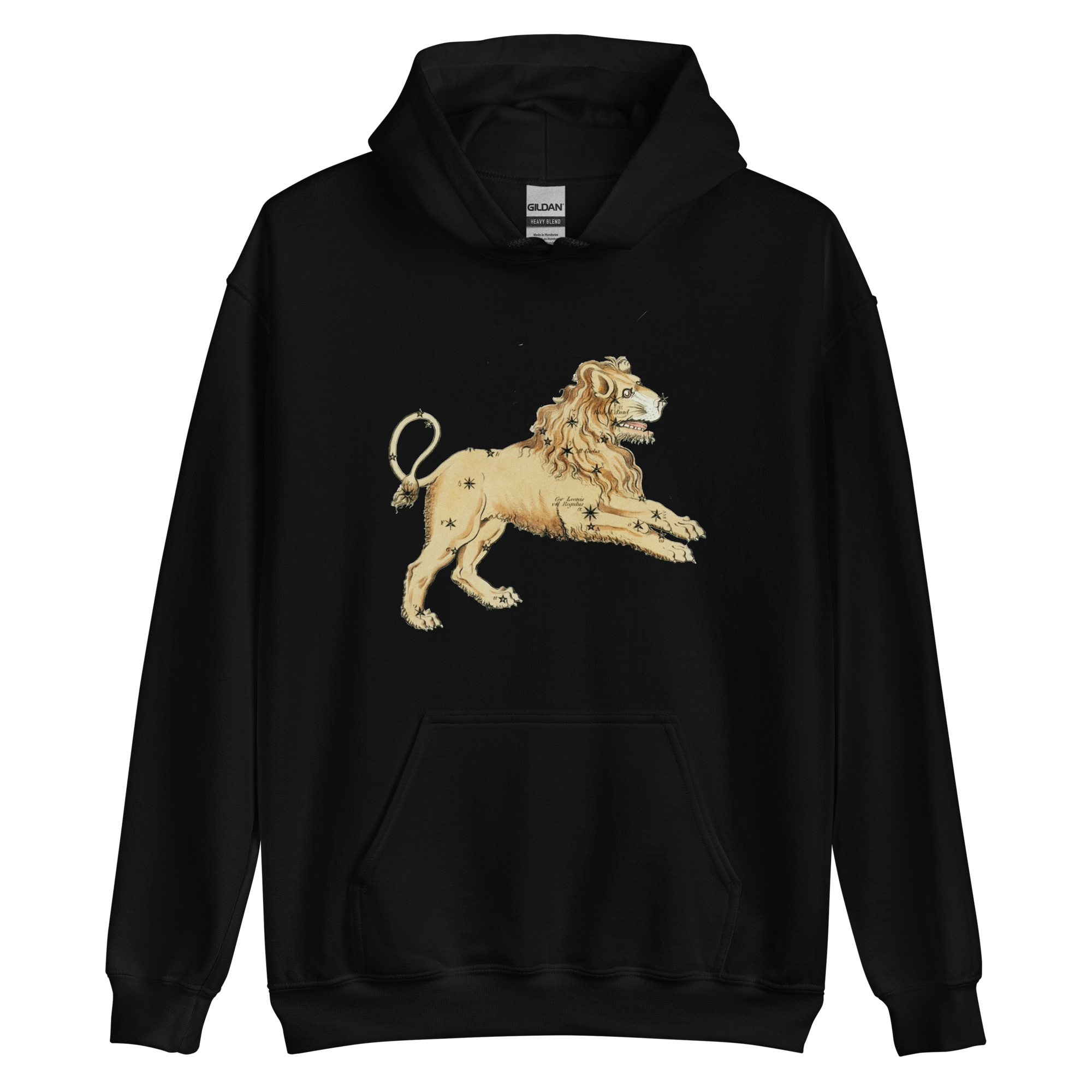 unisex-heavy-blend-hoodie-black-front-68c94c37221ae.png
