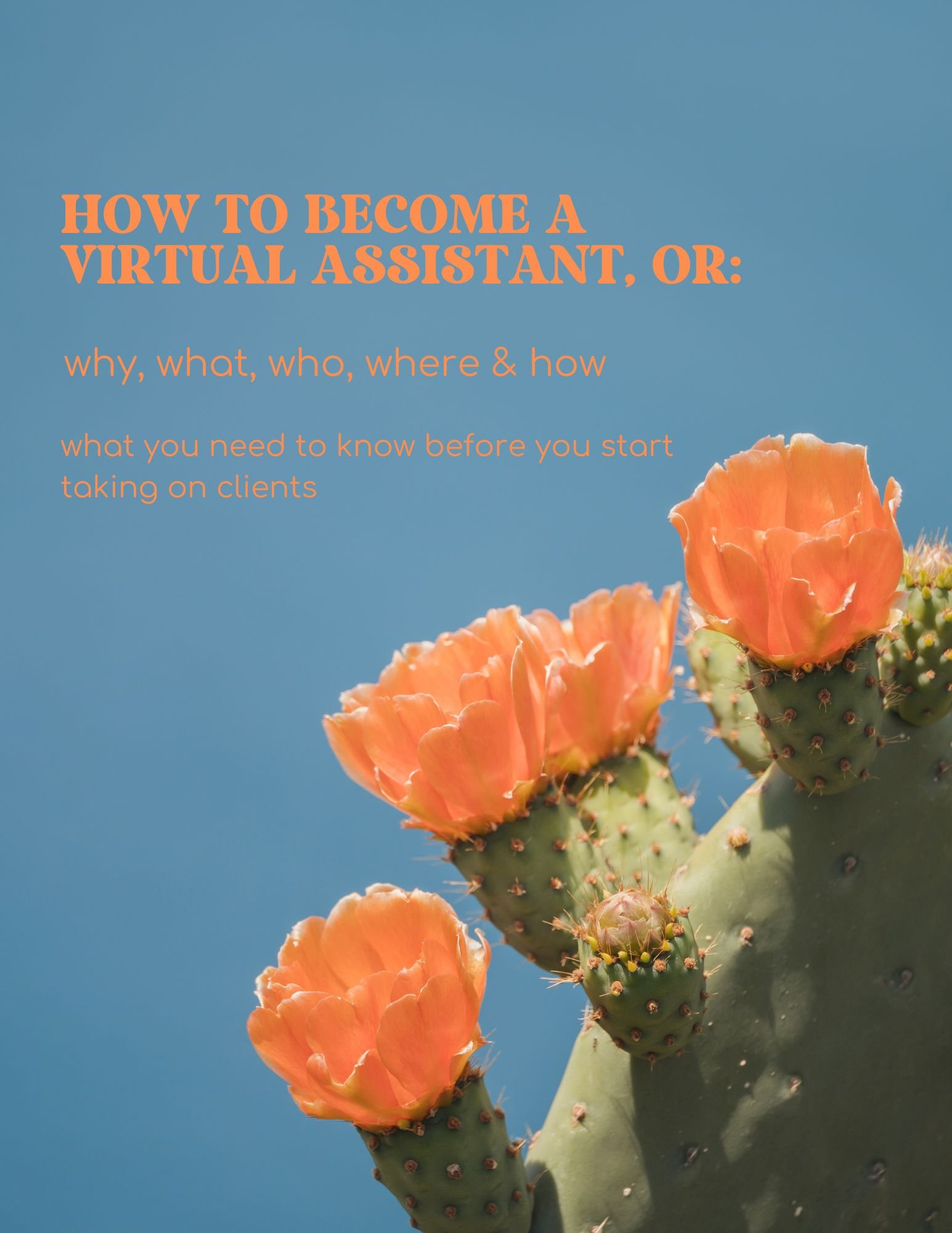 how to become a va e-book.jpg