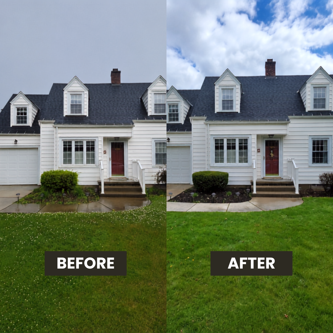 Before & After Template 1 .png