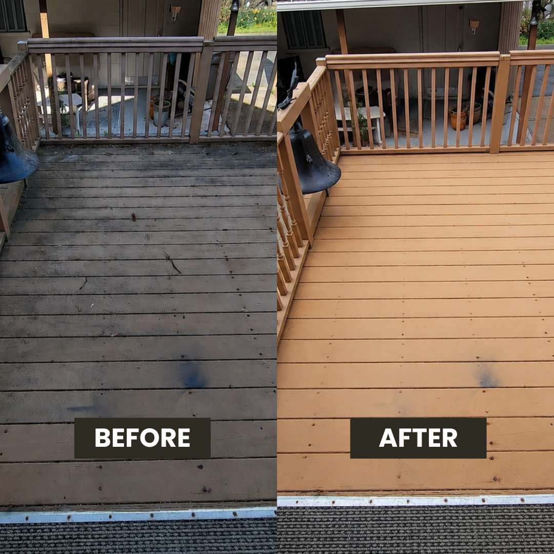 Copy of Before & After Template 2.png