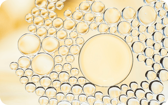Product_Image_cf9dd0ba46.png