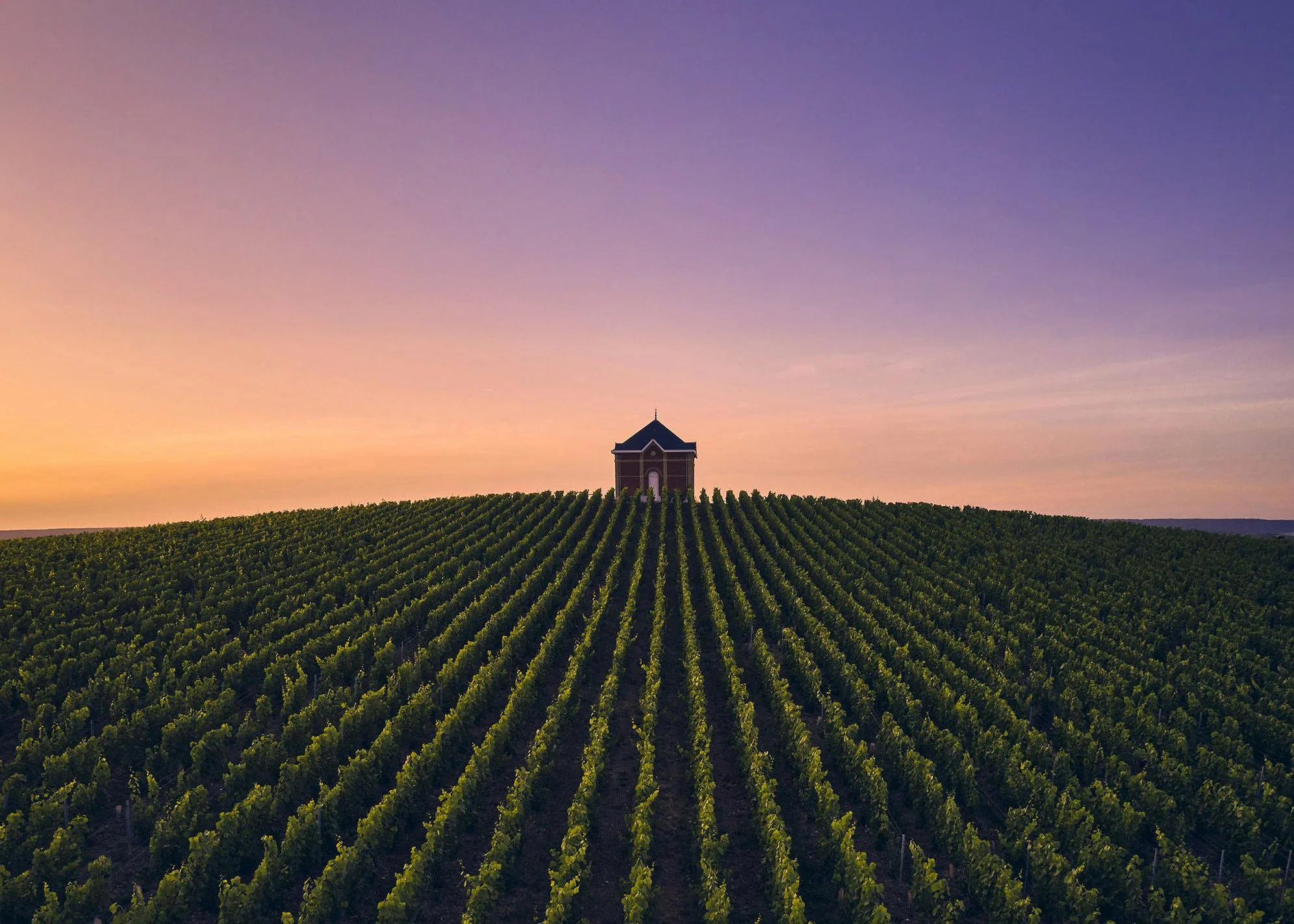 Winemakers Dinner med Alexandre Blaix