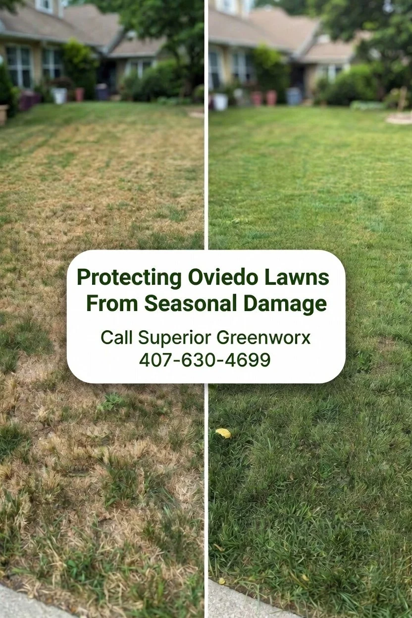 Spring Lawn Pest Control: Protecting Oviedo Lawns From Seasonal Damage