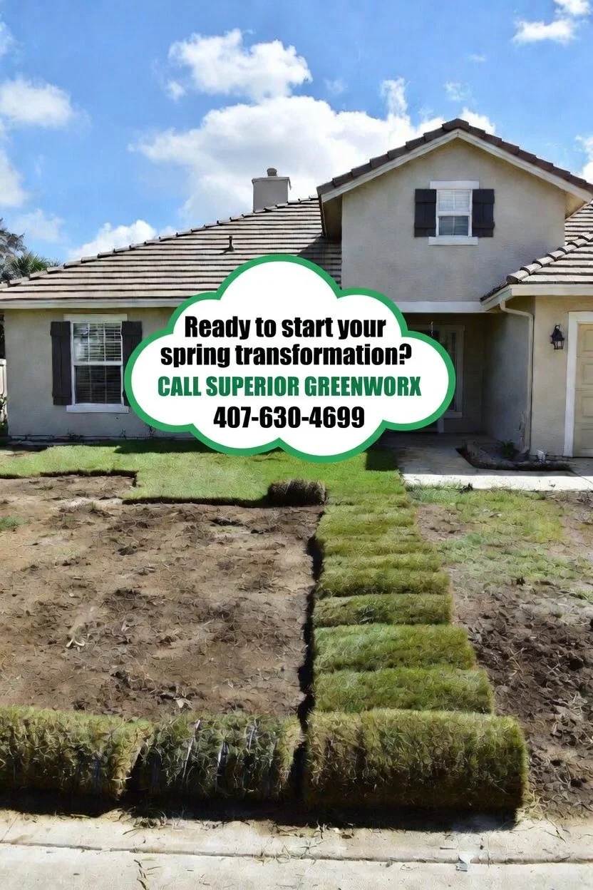 Spring Lawn Transformations: Sod Installation and Landscaping Services in Oviedo