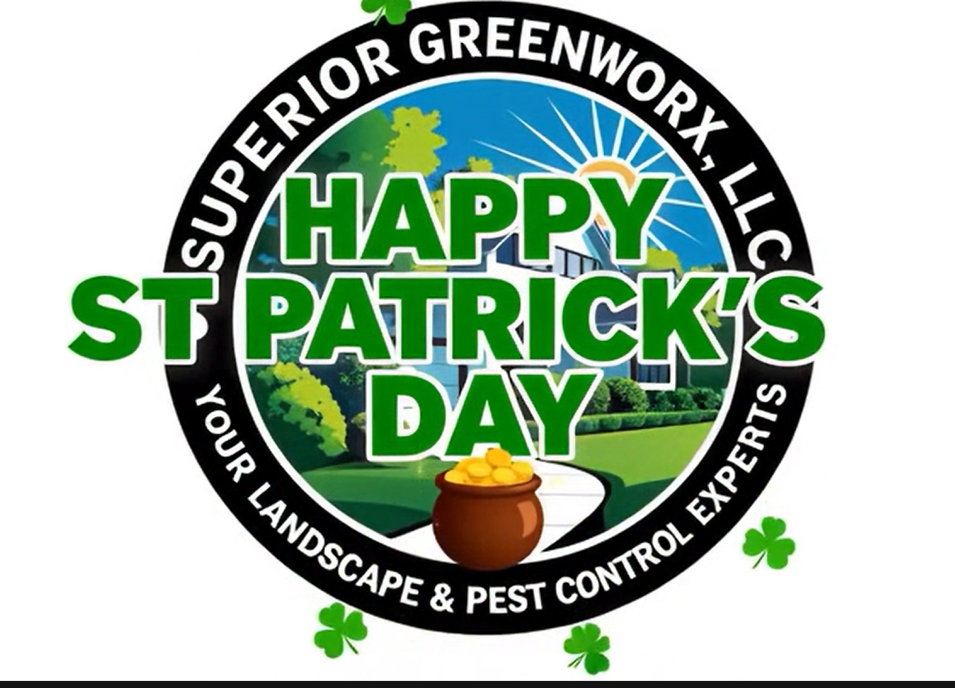 Spring Sprinkler Repair Oviedo: Fix Dry Spots Fast