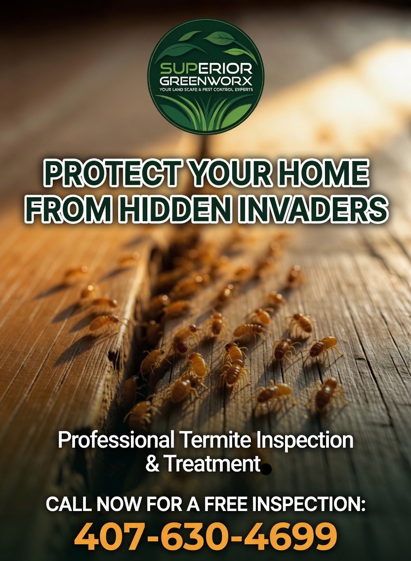 Termite Bond Sanford: Protect Your Home Before Damage Starts