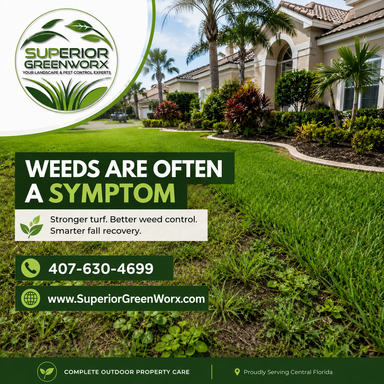 Weed Control Oviedo: Strengthen Your Lawn After Summer