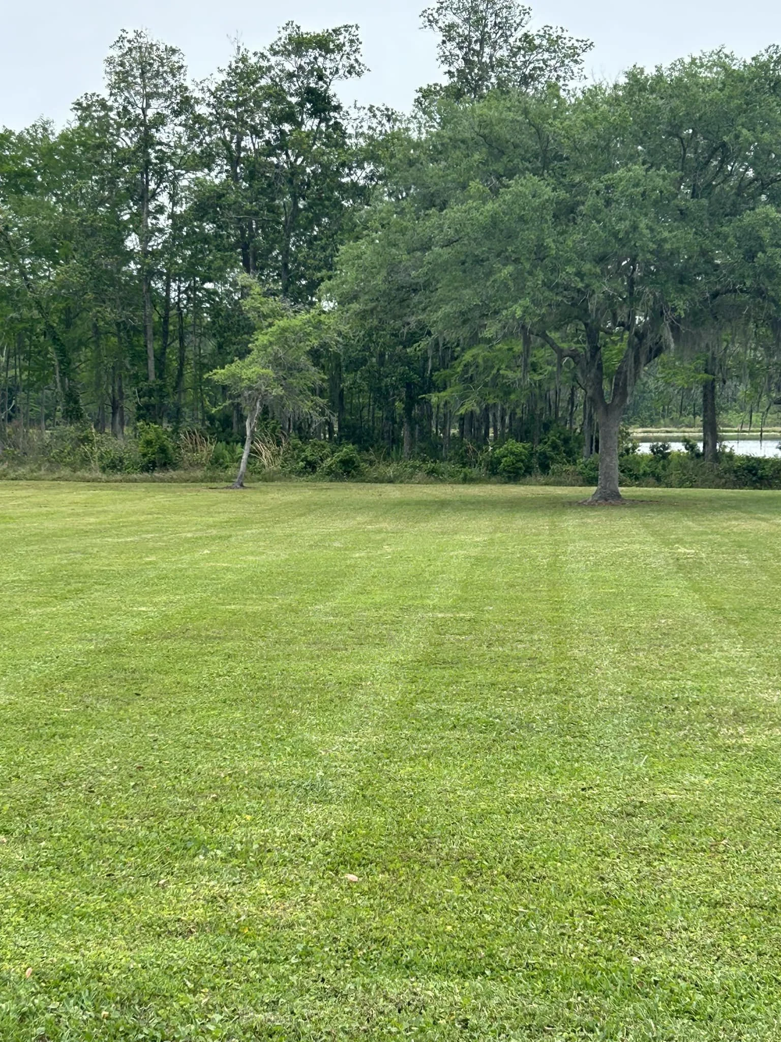 Sod repair.jpg