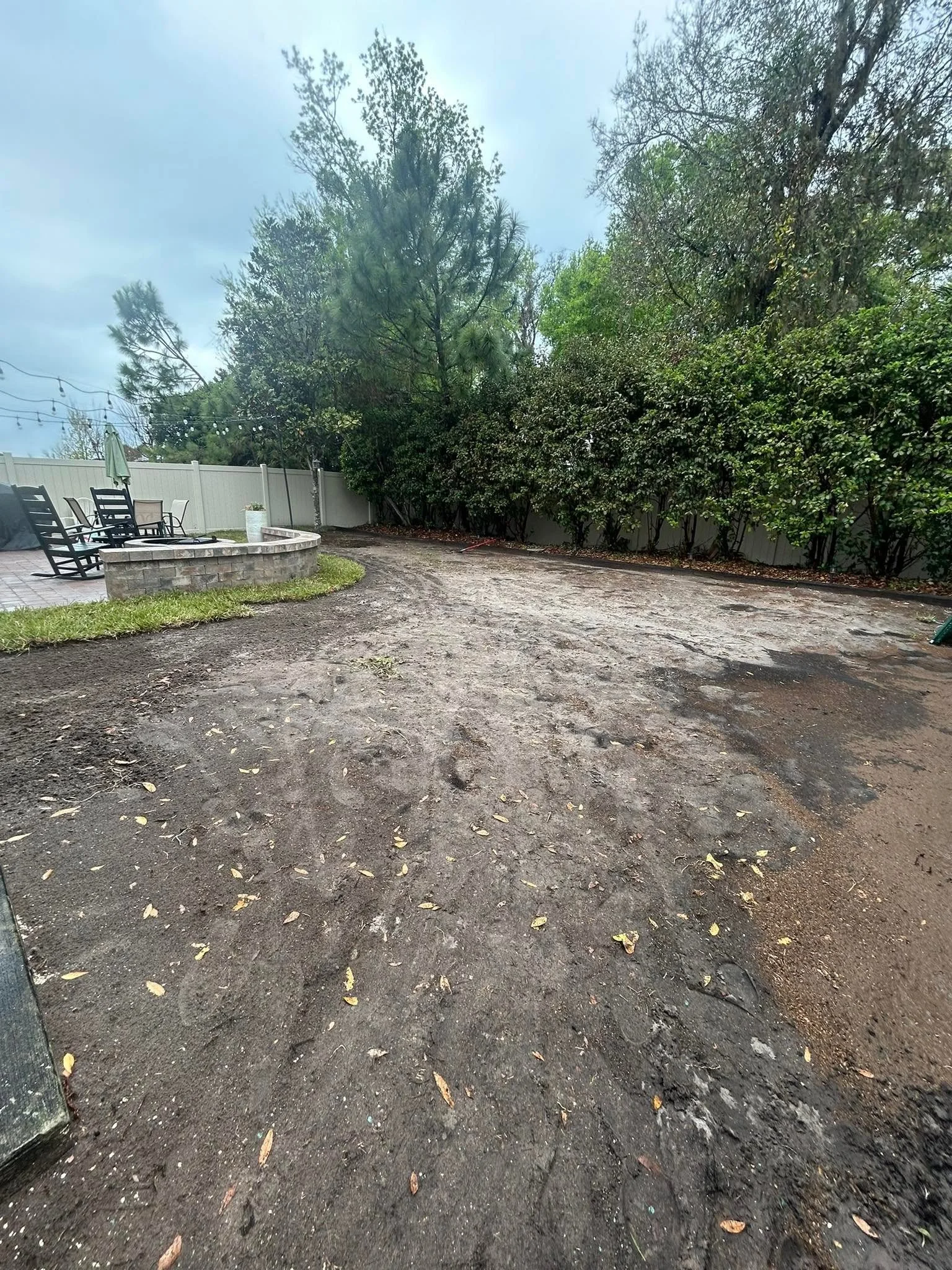 L4.jpg