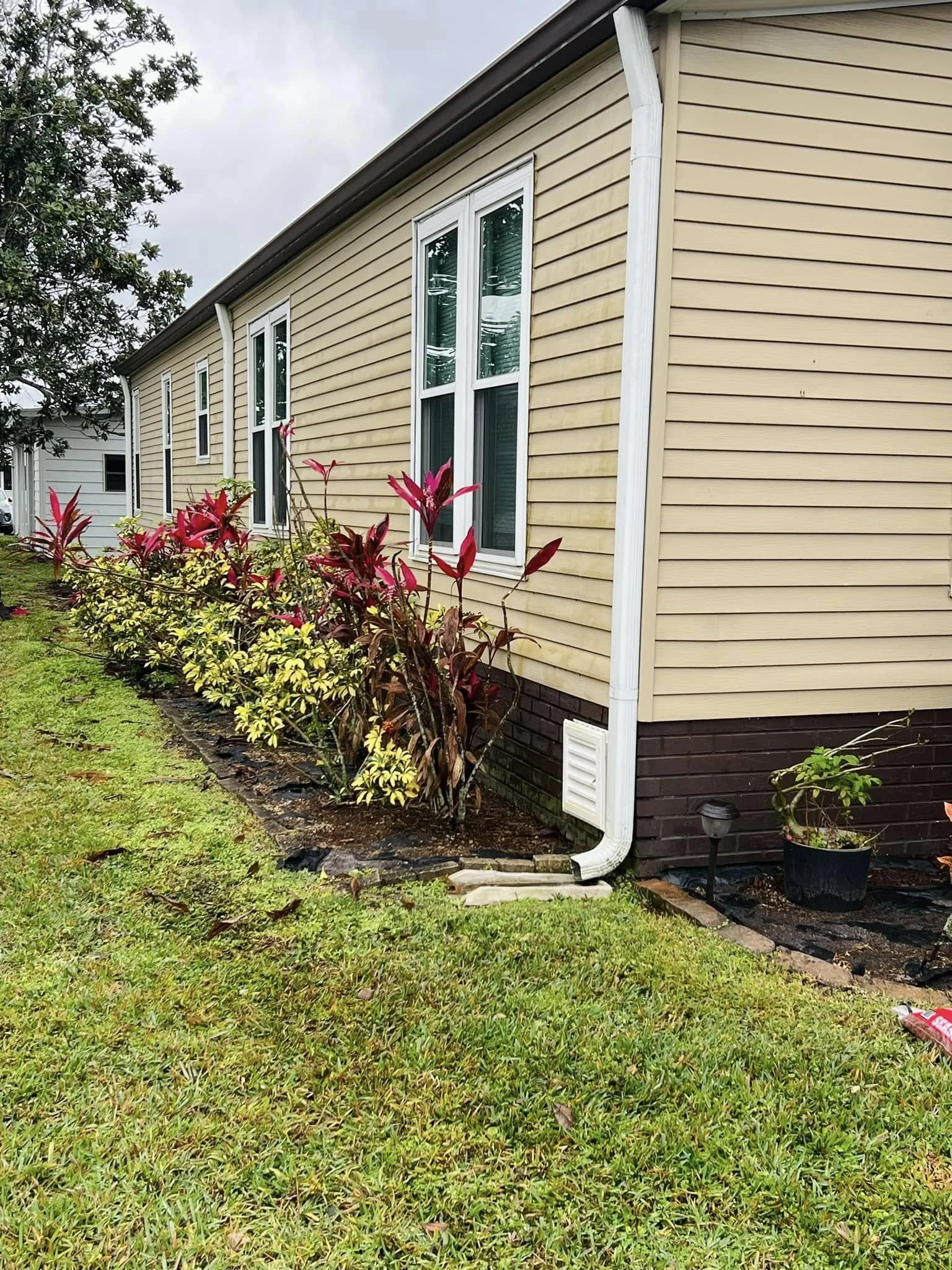 Landscape Removal-Before