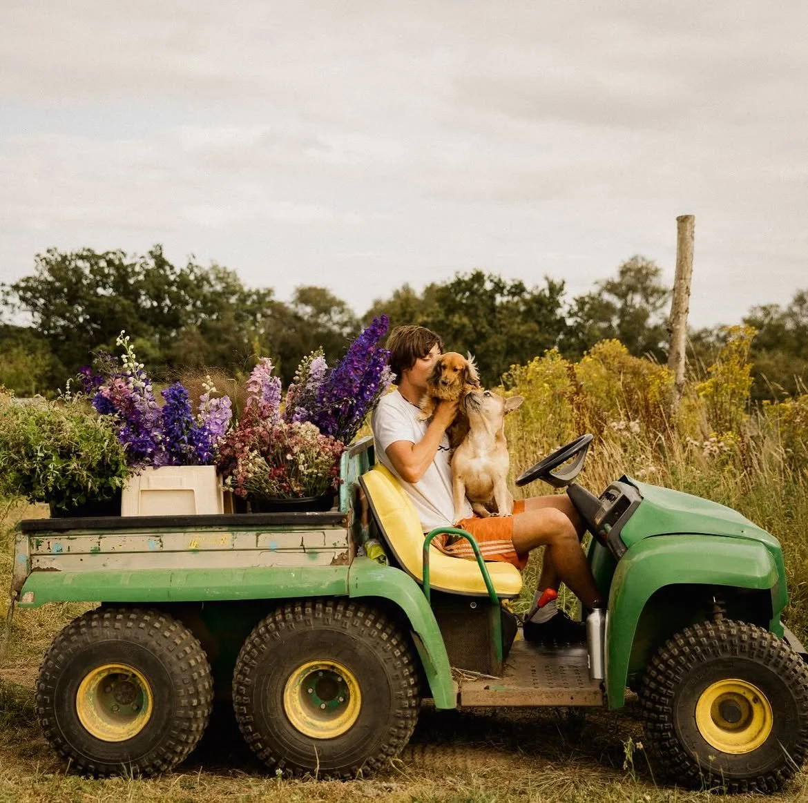 Burnt Fen Flowers 05 Grower with Dog on Farm Buggy.jpg