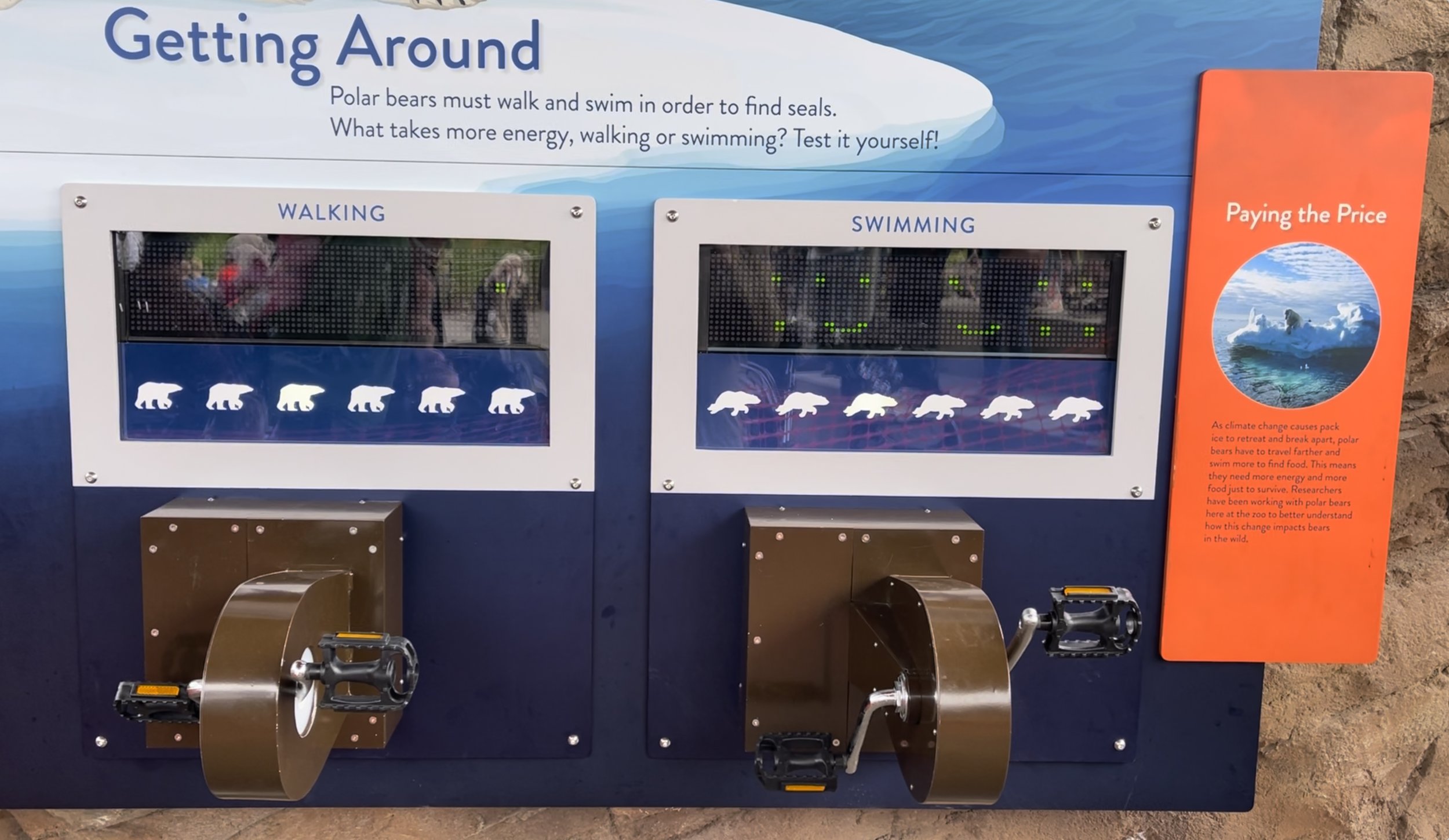 HPG Polar Bear simulator 00.jpg