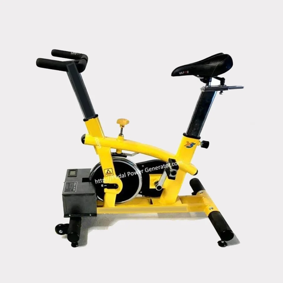 300Watt Exercise BIke Generator