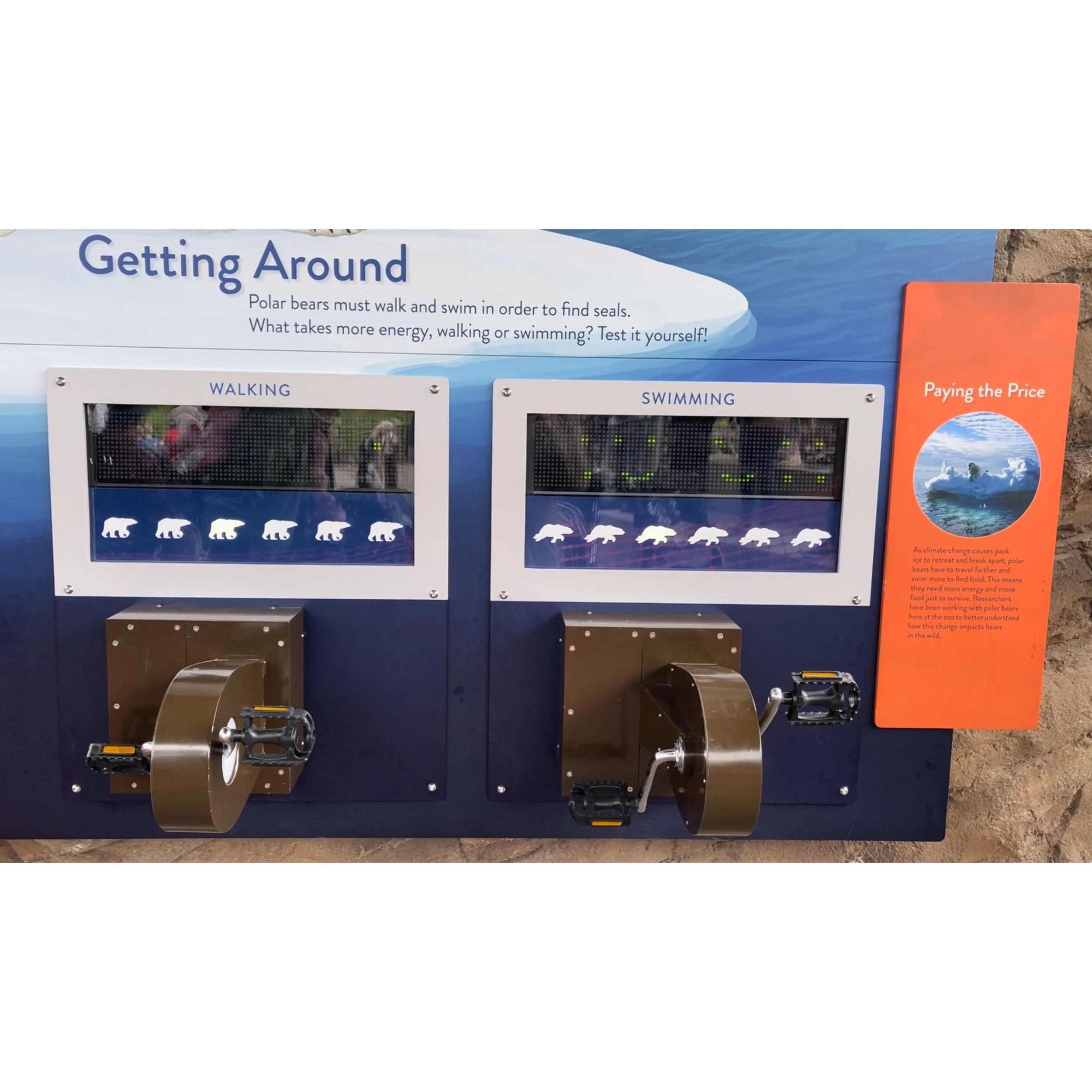 HPG Polar Bear simulator sq.jpg