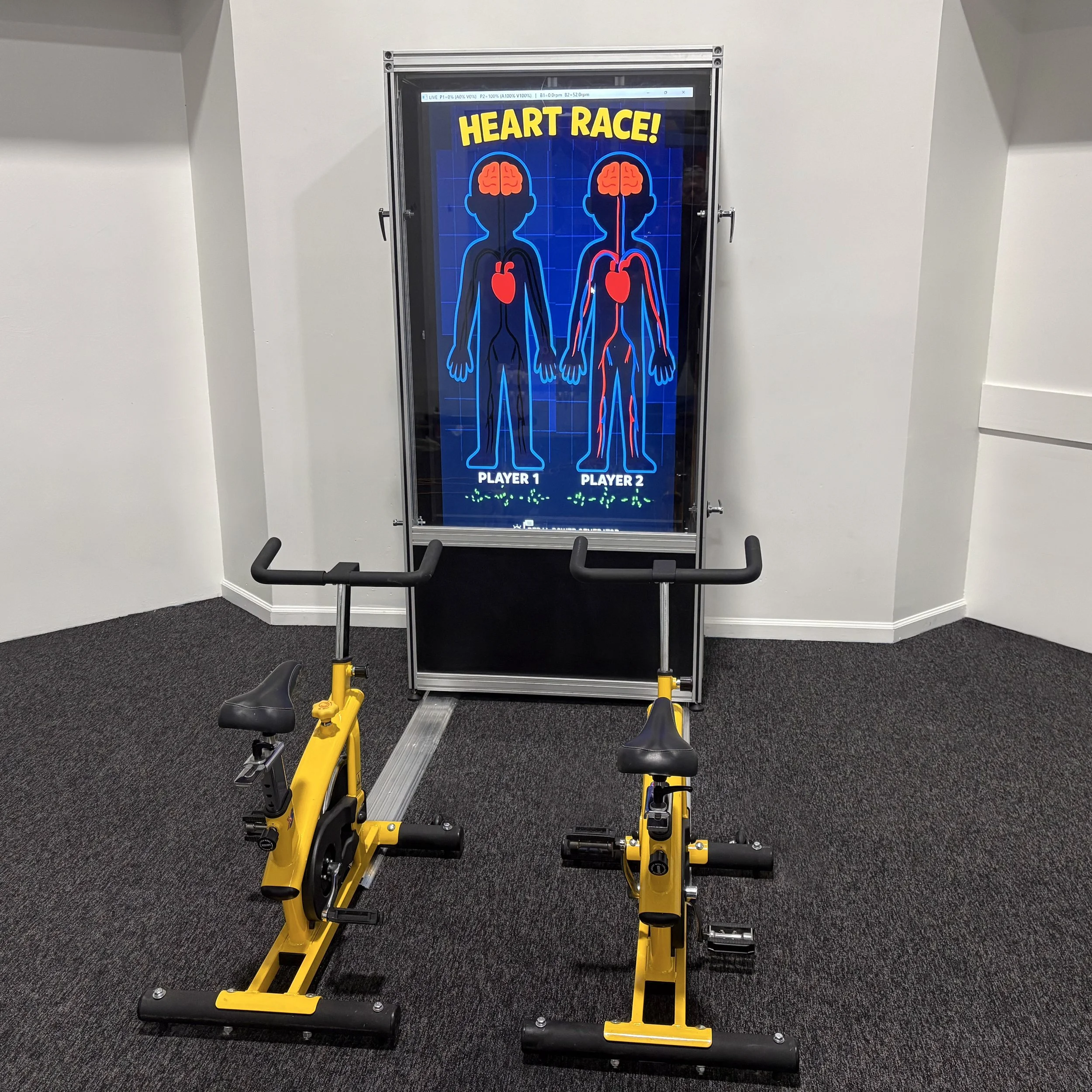 IMG_8563 cleansq.jpg