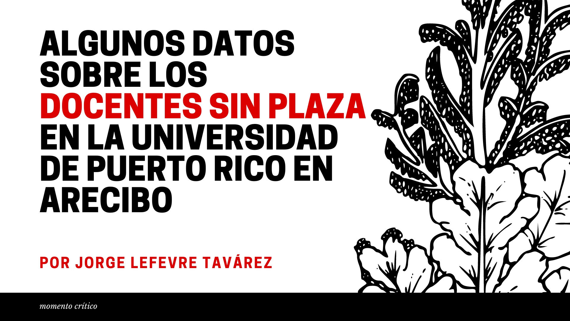 Algunos datos sobre los docentes sin plaza en la Universidad de Puerto Rico en Arecibo