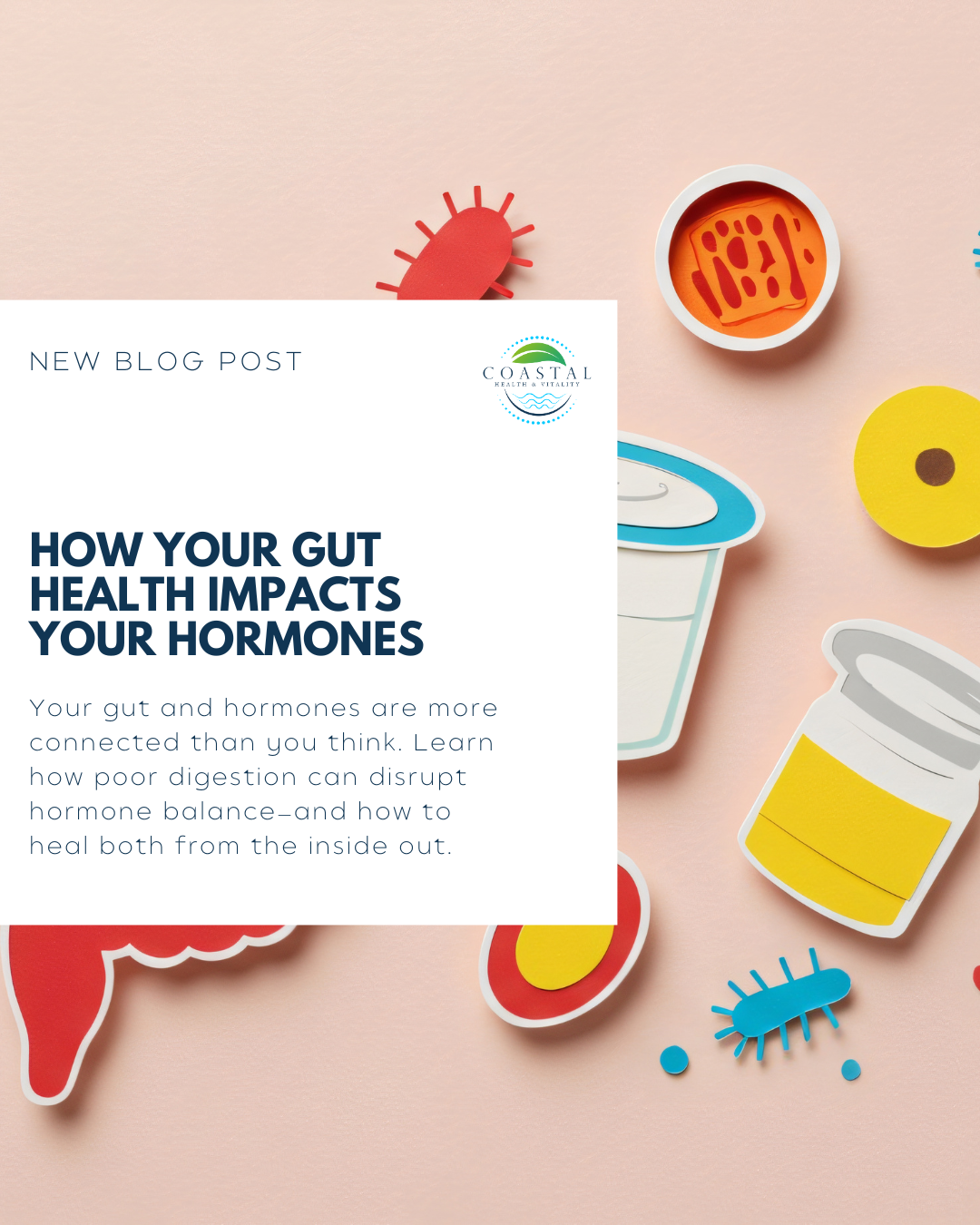 How Your Gut Health Impacts Your Hormones (And What to Do About It)