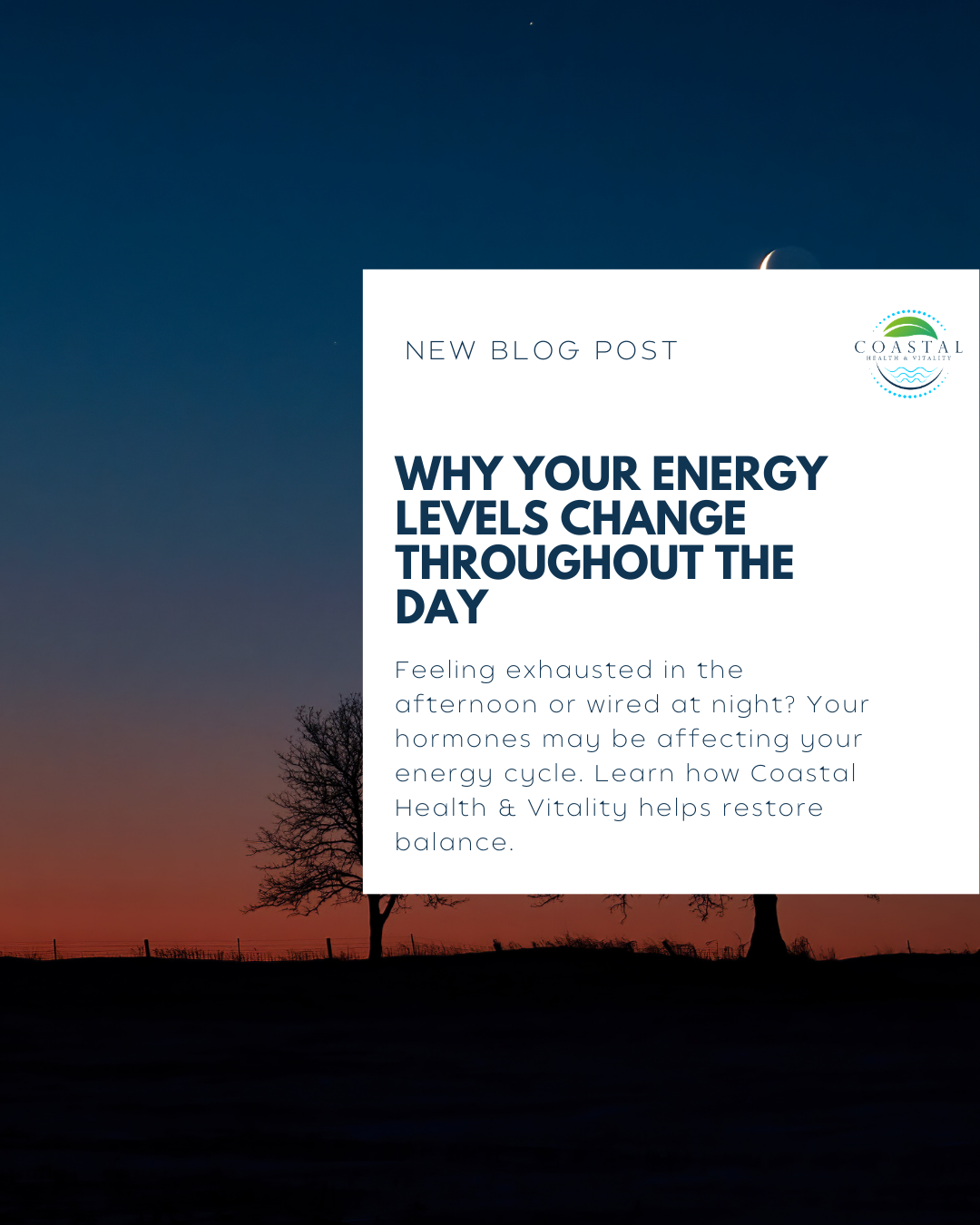 Why Your Energy Levels Change Throughout the Day (And What Hormones Have to Do With It)