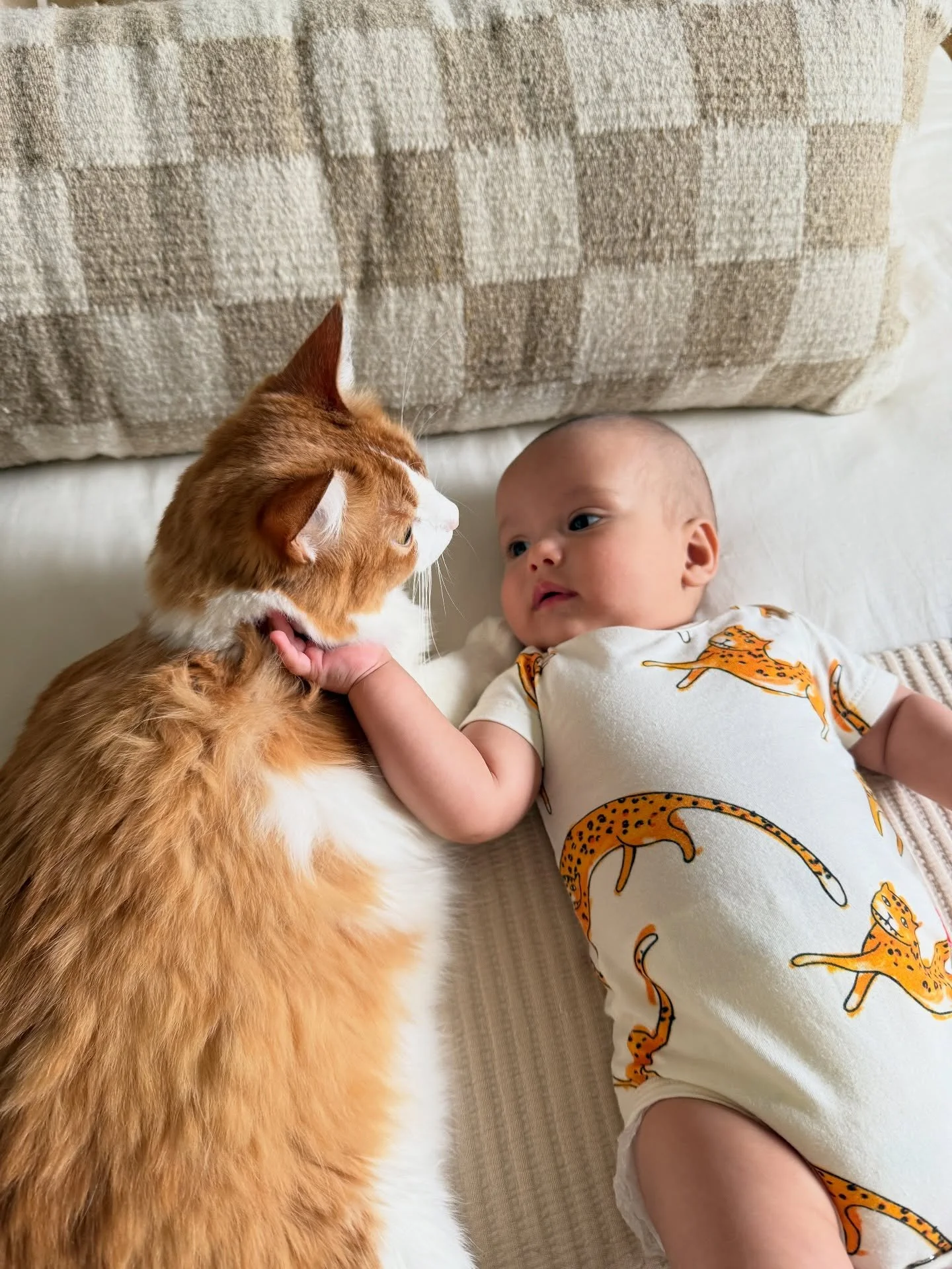 brotherly love 👶🏽🐈