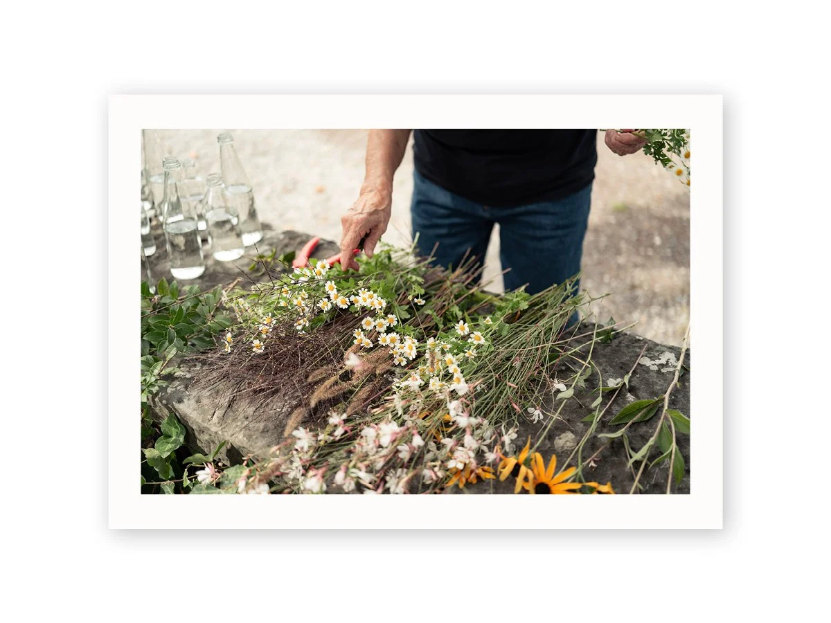 Wildblumen.jpg