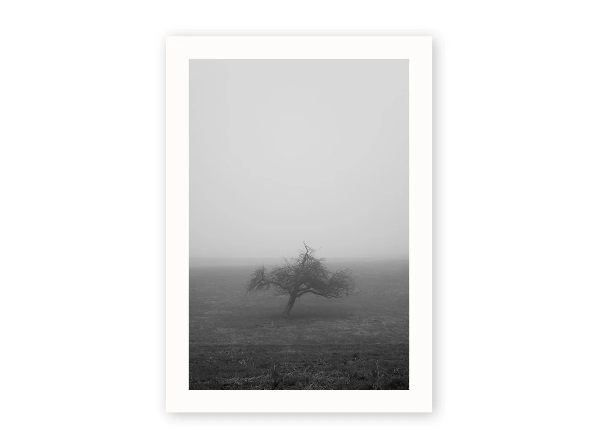 Nebel.jpg