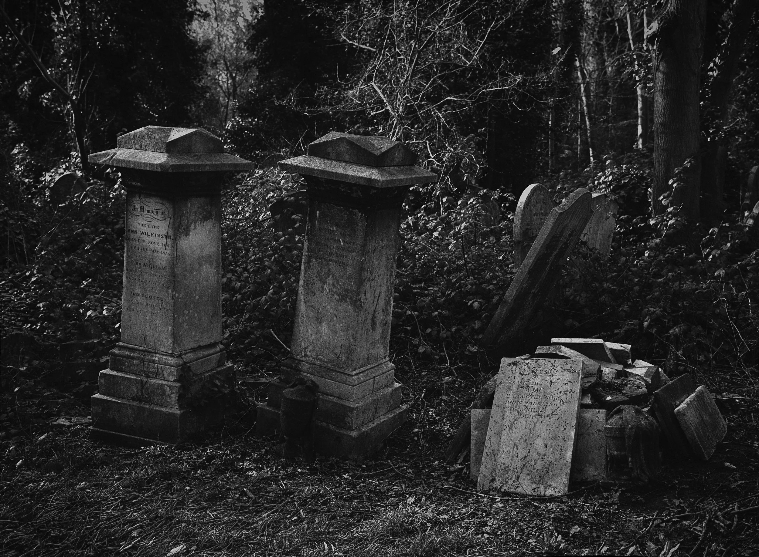 Abney Park Cemetery