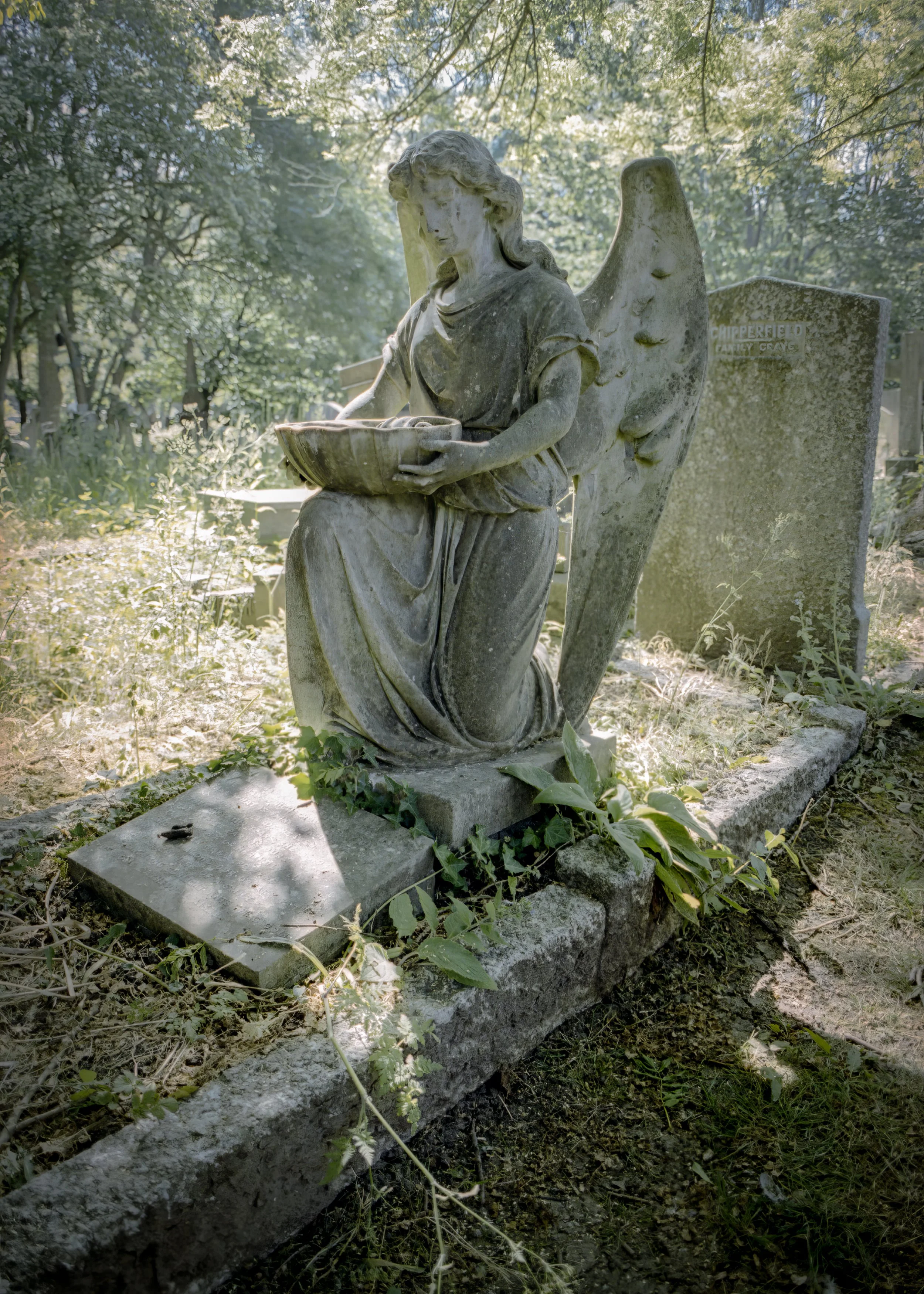BACKLIT ANGEL : Highgate Cemetery,
May 2026. OM2 | Portra 400 (rated 120)  | 28mm f2.8
