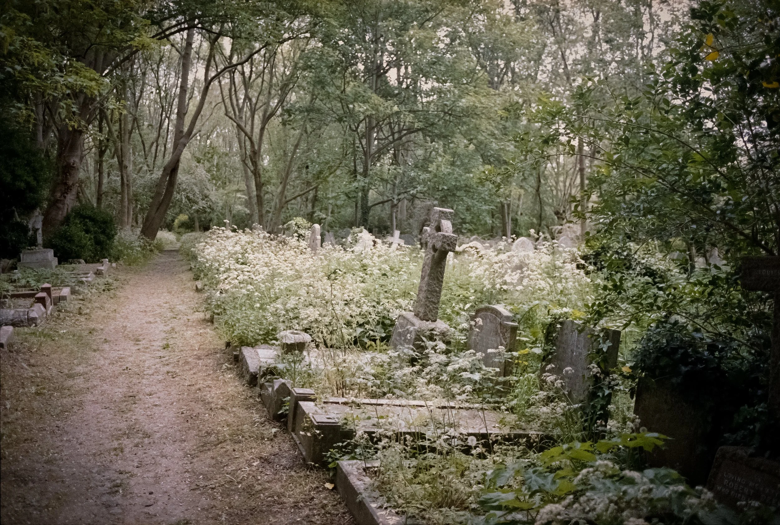 PATHWAY | May 2026 | OM2 | Portra 400 (rated 160)  | 28mm f2.8