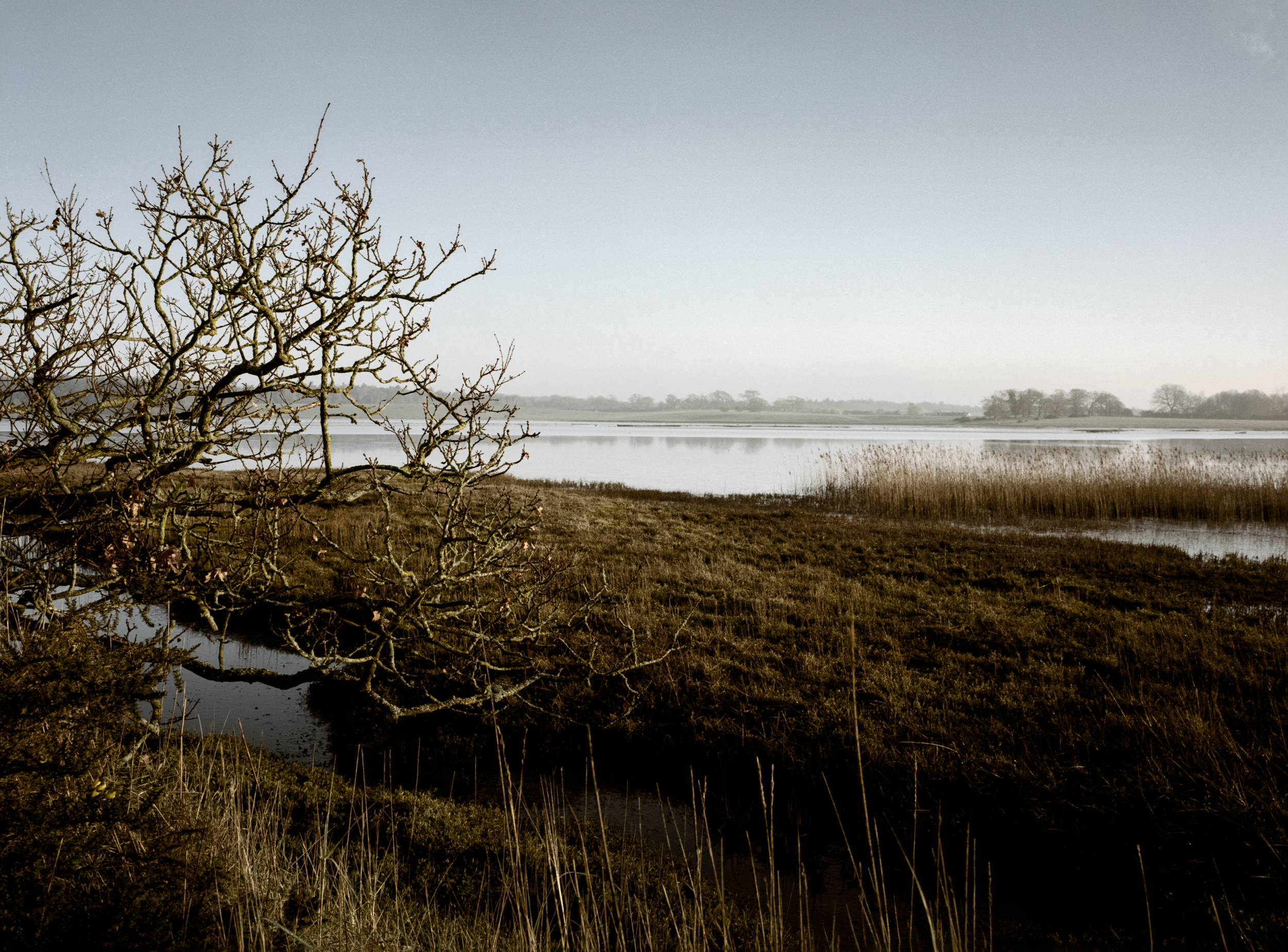 Nature Reserve | Blythburgh
