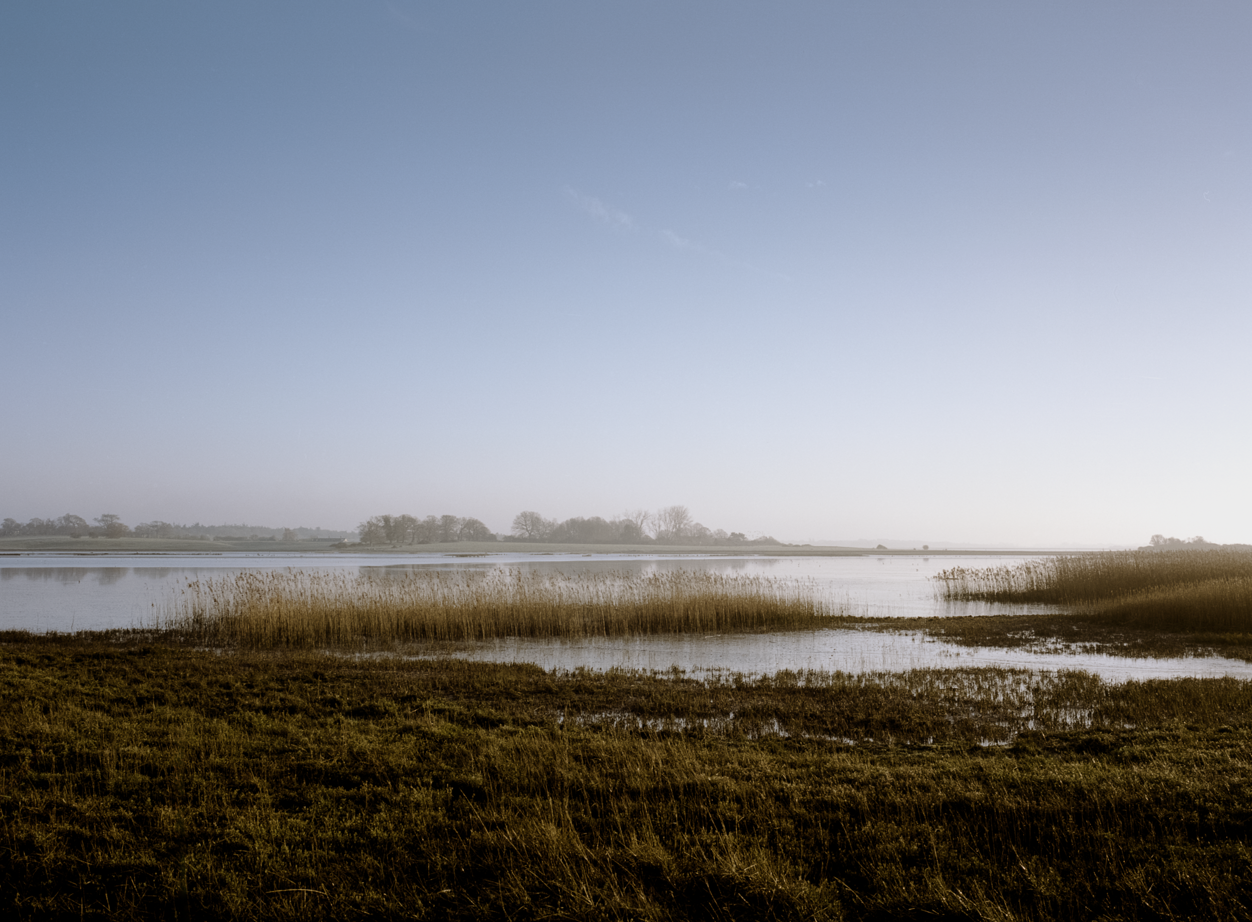 Nature Reserve | Blythburgh