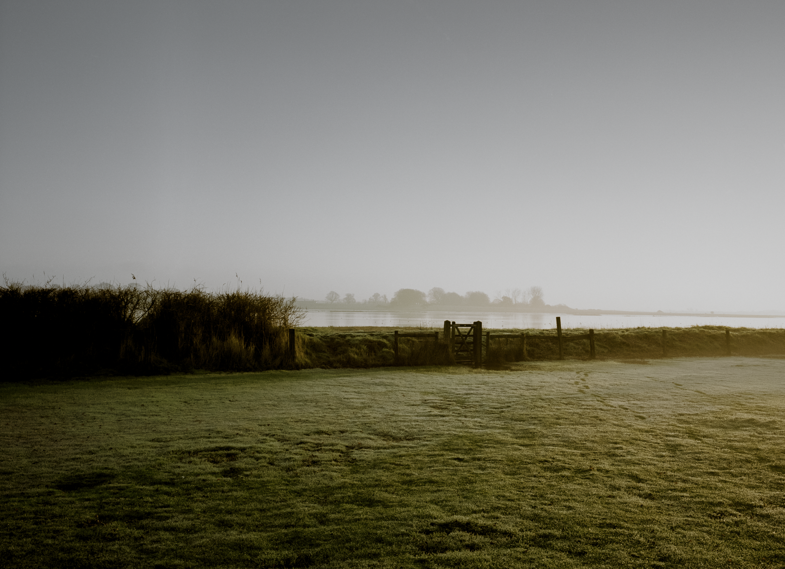 Nature Reserve | Blythburgh