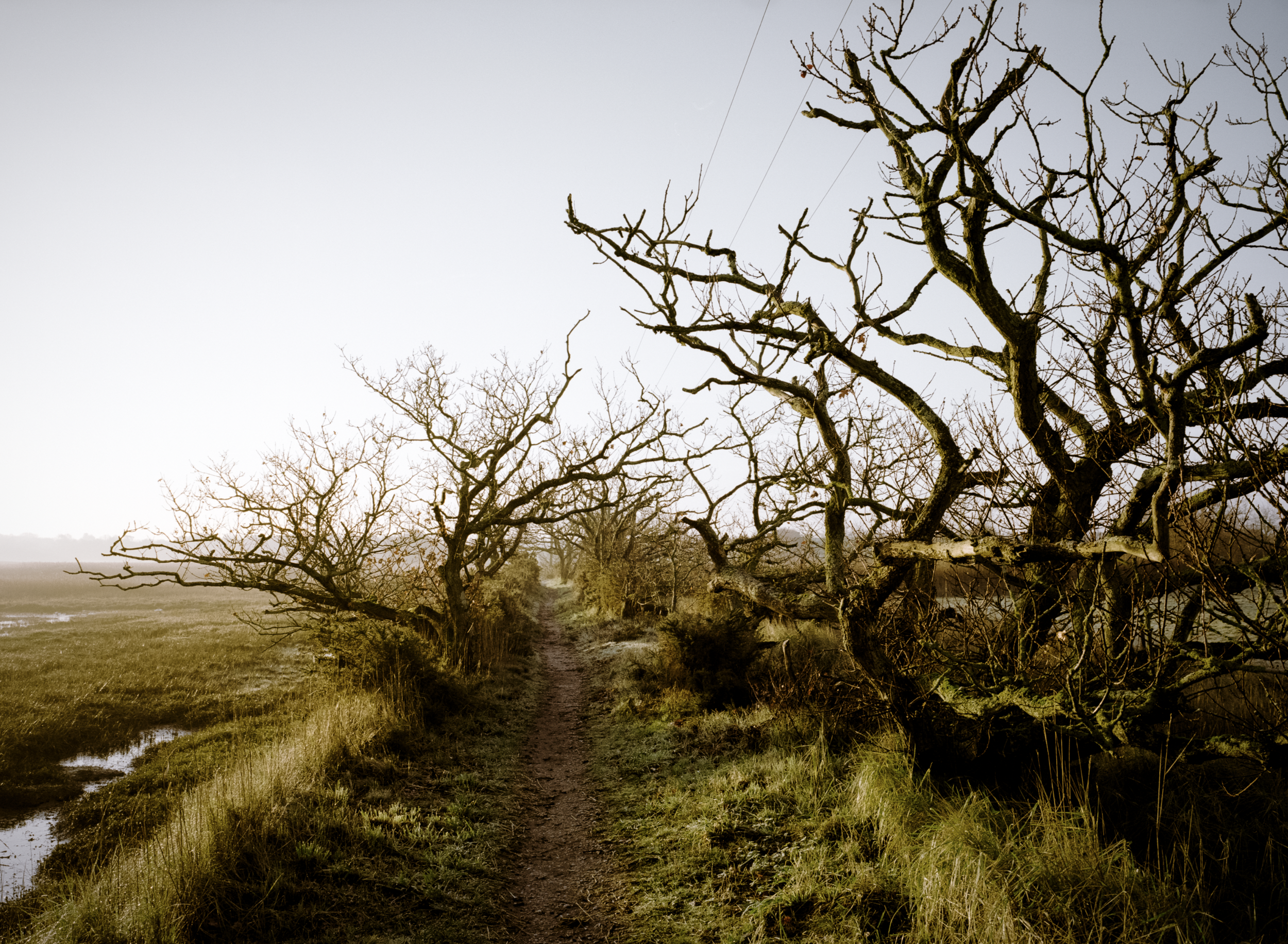 Nature Reserve | Blythburgh