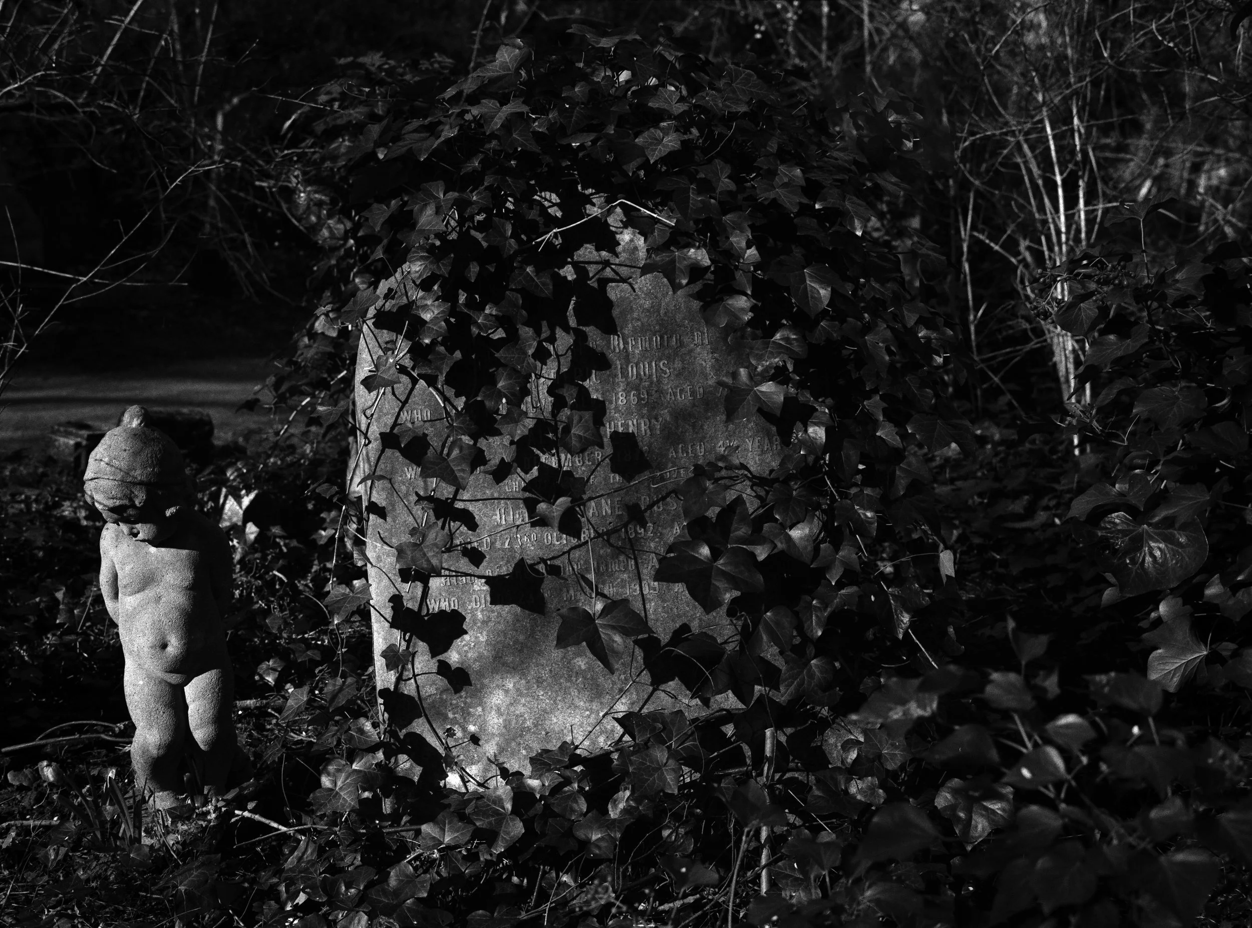 GRAVESTONE CHERUB : Abney Park Cemetery,
March 2026. Fuji GSW | Delta 100 (rated 50)  | 65mm f5.6