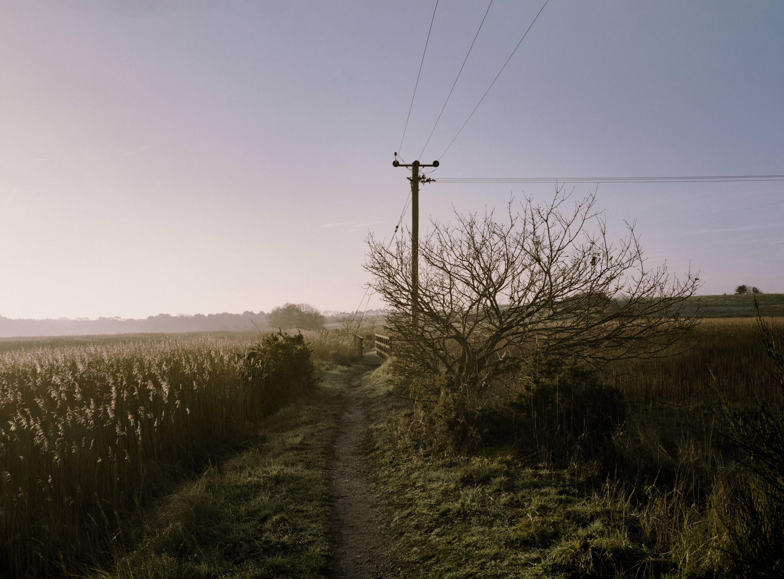 Nature Reserve | Blythburgh