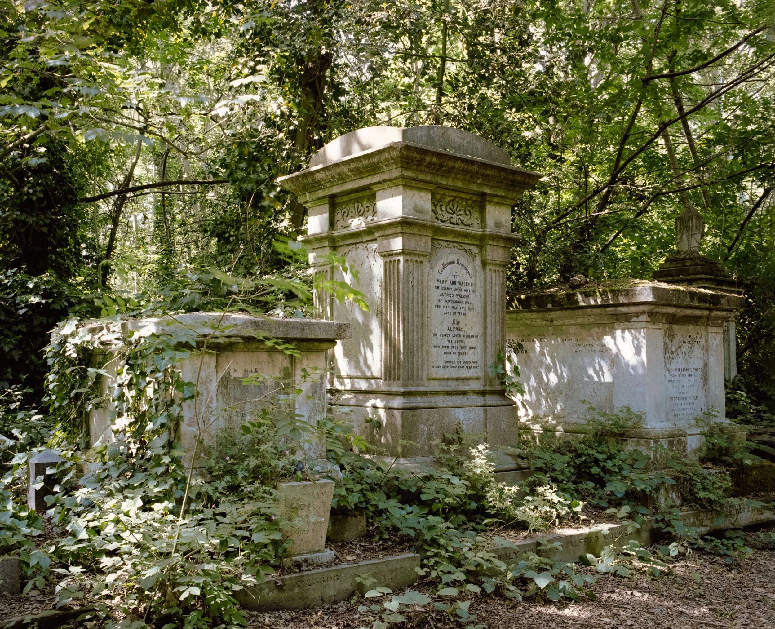 HEADSTONES : Abney Park Cemetery, May 2026. Bronica GS1 | Portra 400  (rated 120)  | 65mm f4