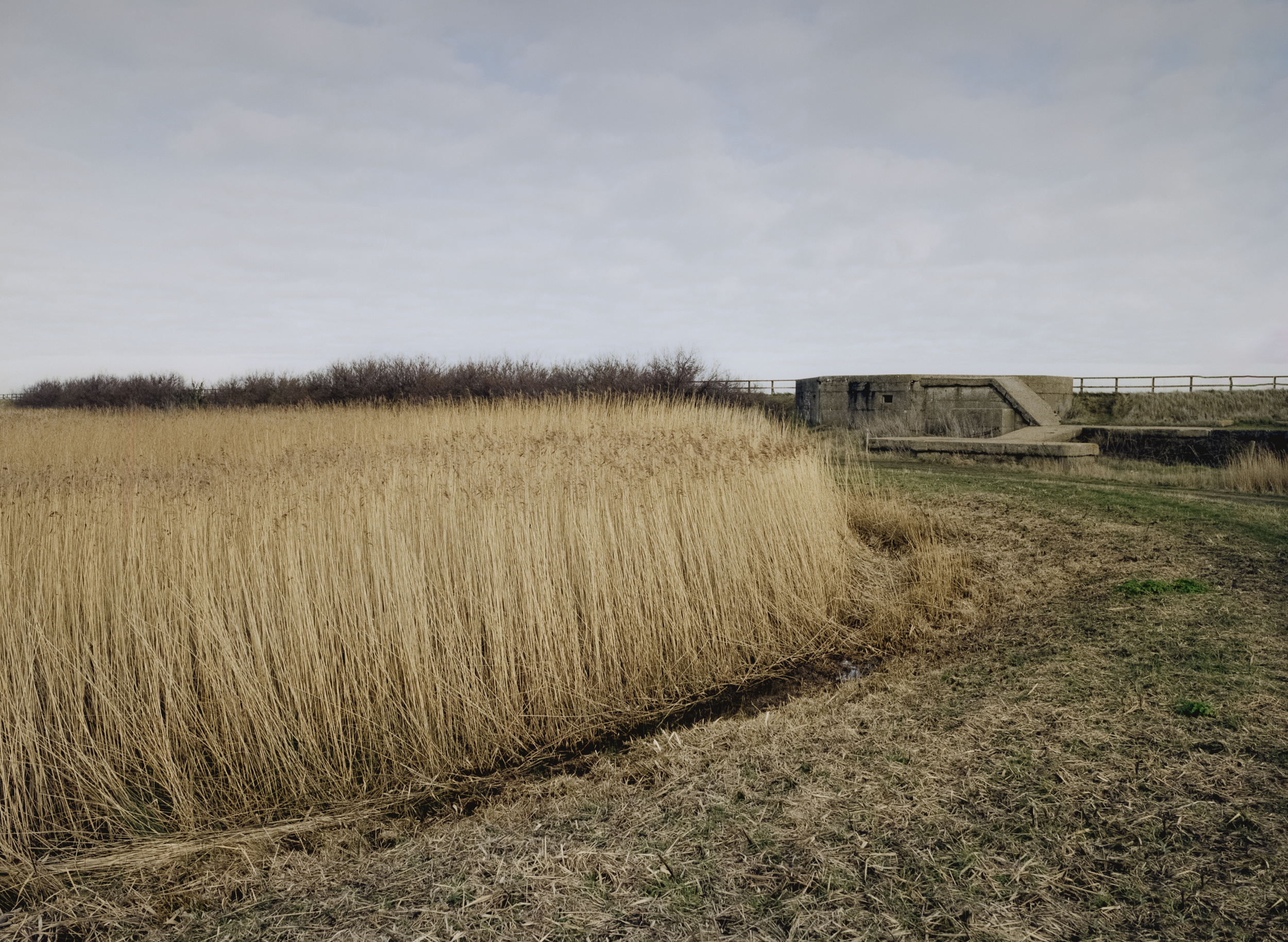 Coastal Defences | Bawdsey