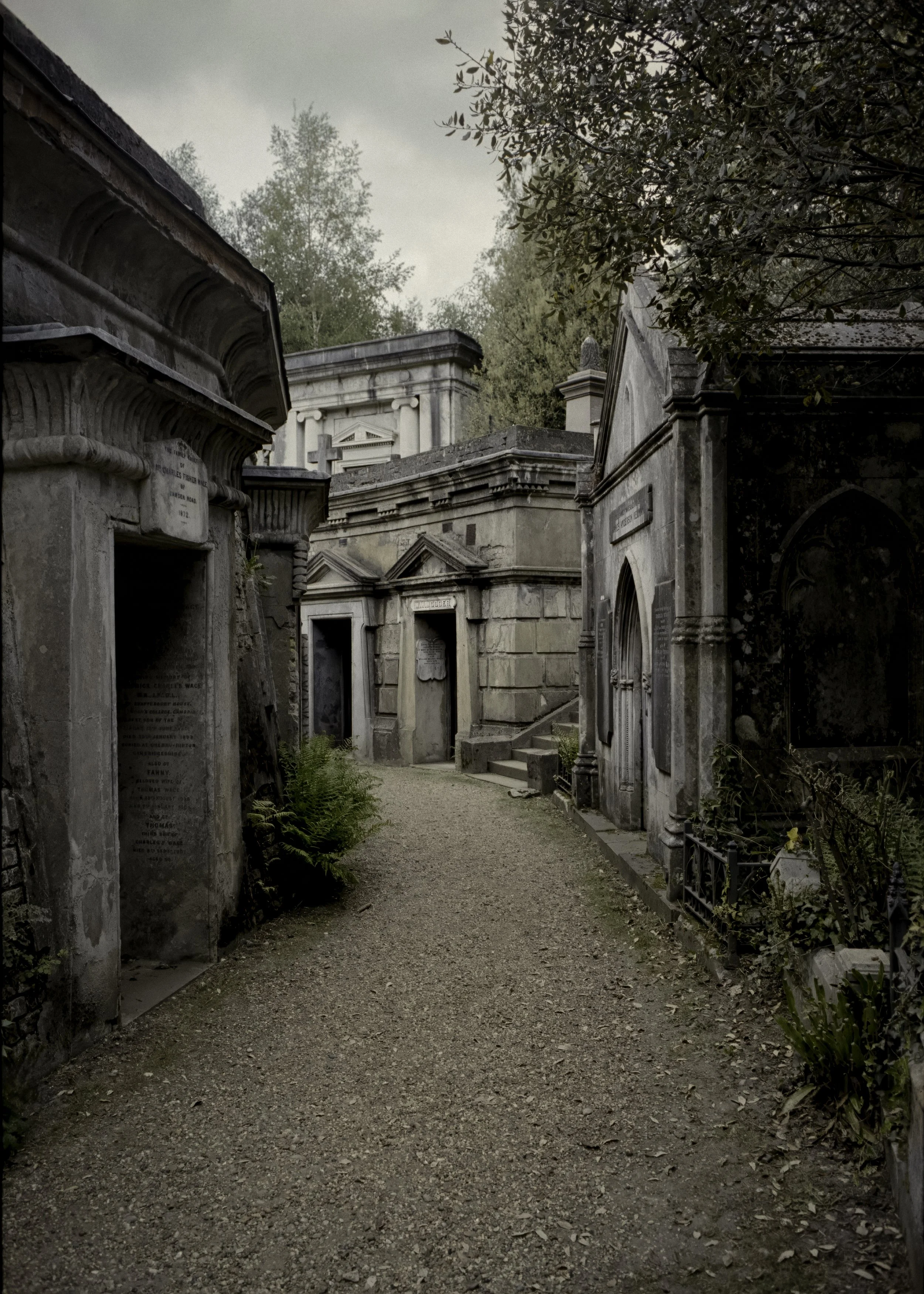 FAMILY TOMBS | May 2026 | OM2 | Portra 400 (rated 160)  | 28mm f2.8