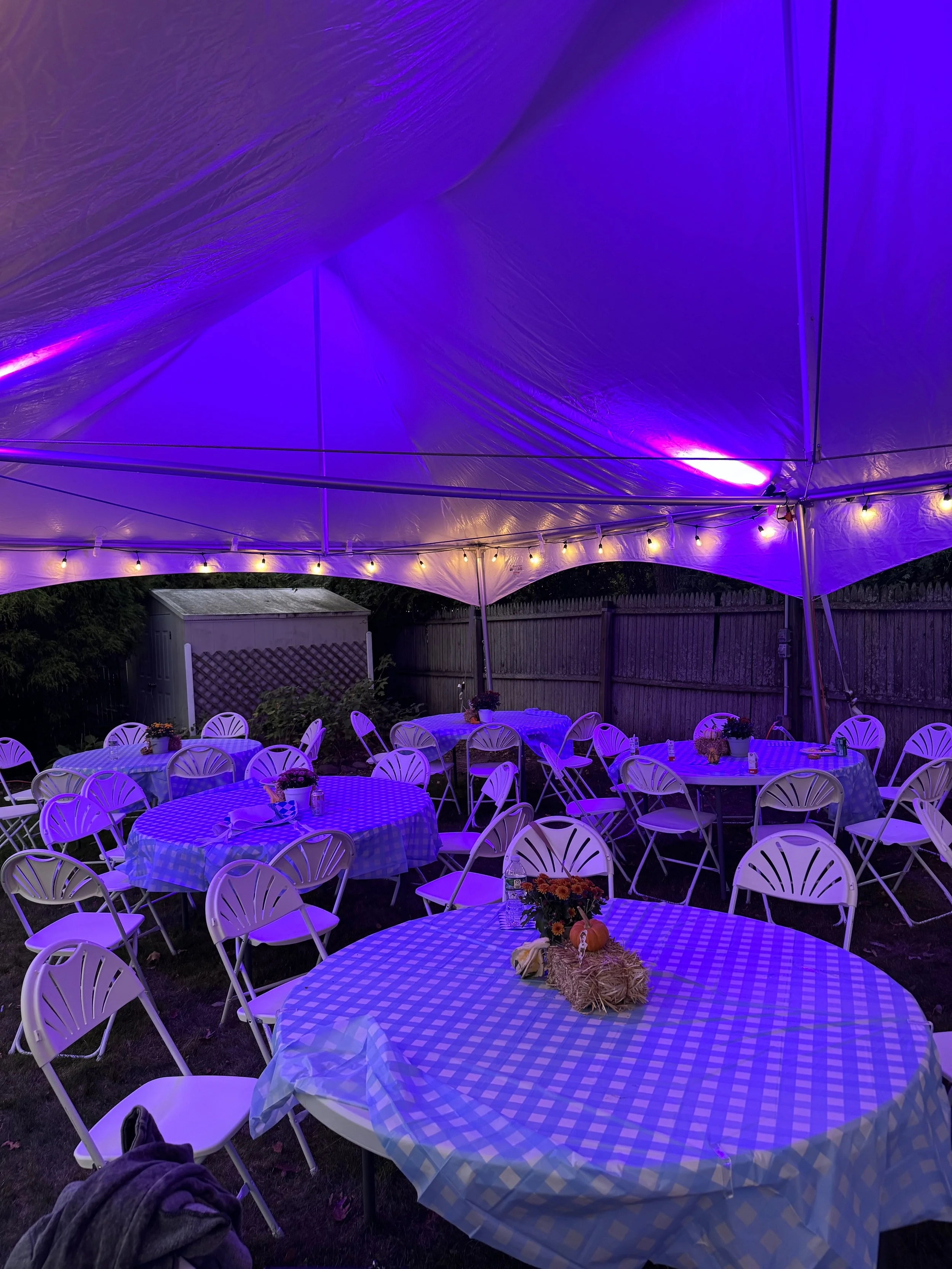 Outdoor party tent with string lights, round tables with blue checkered tablecloths, and white plastic chairs, decorated with flowers and pumpkins, under purple lighting.