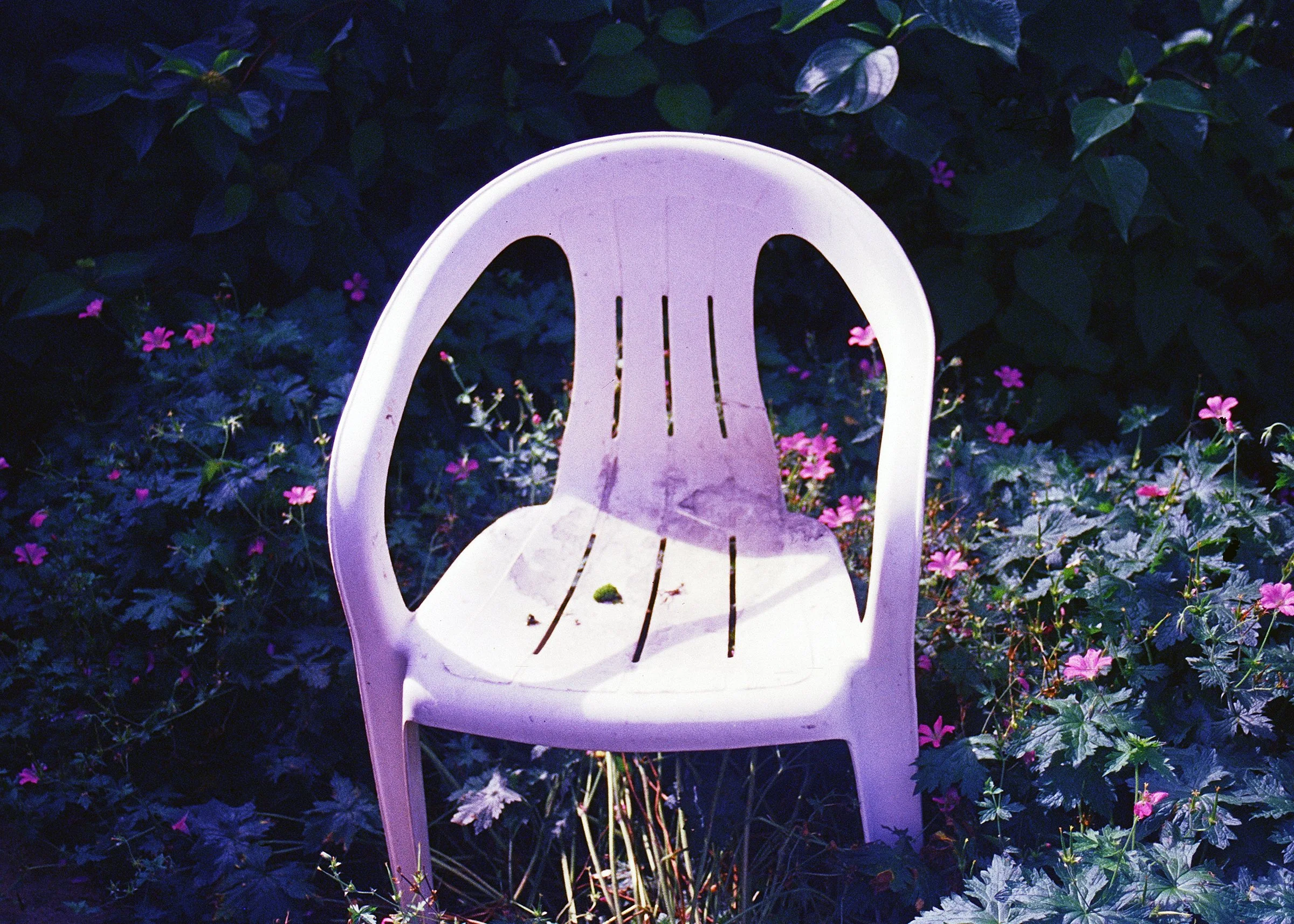 chair4.jpg