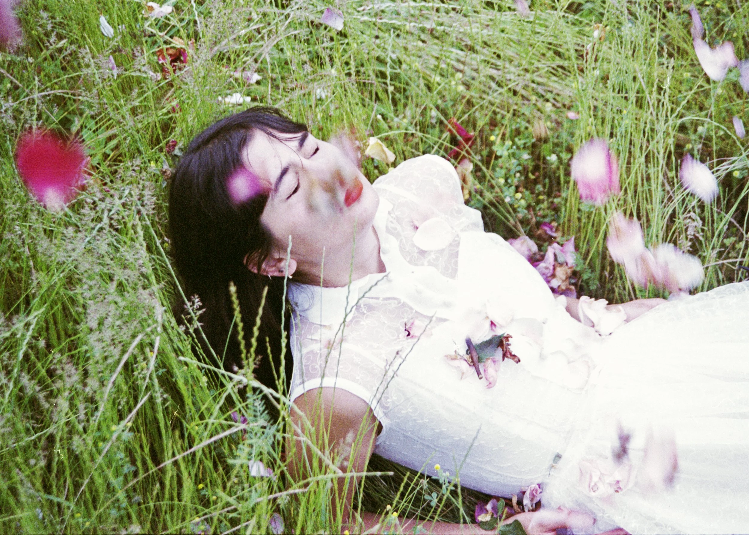 petalsfall4.jpg