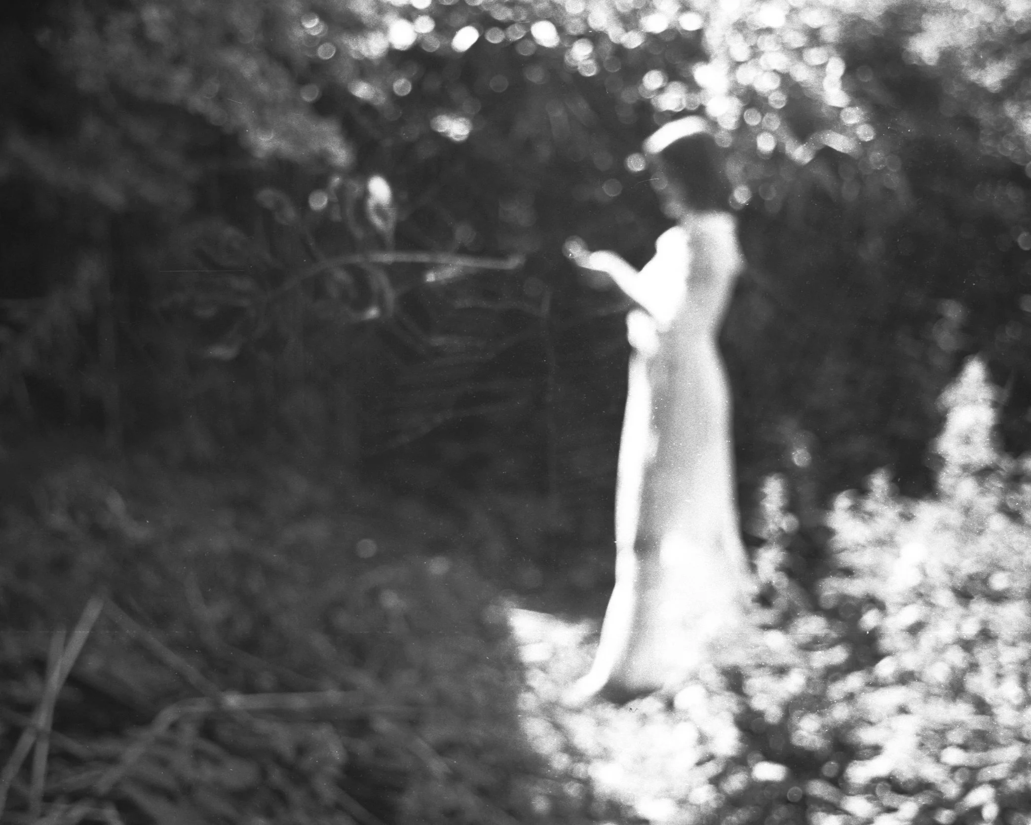 silhouette1.jpg