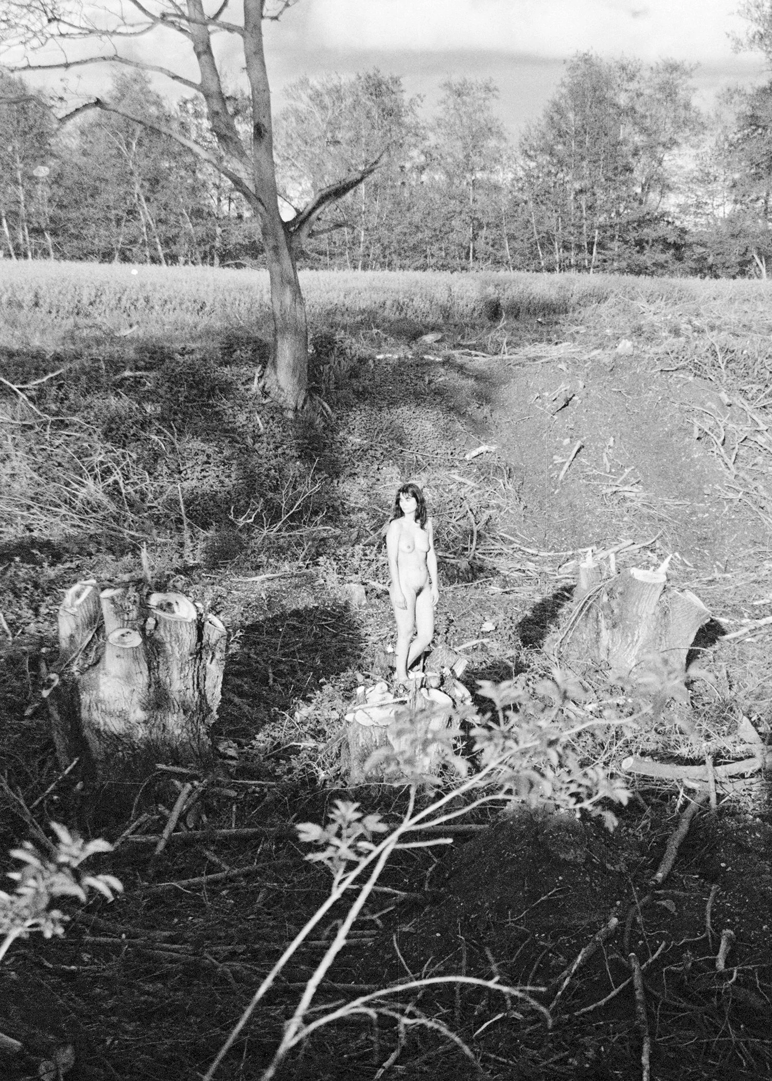 portraitjulietteforest22.jpg