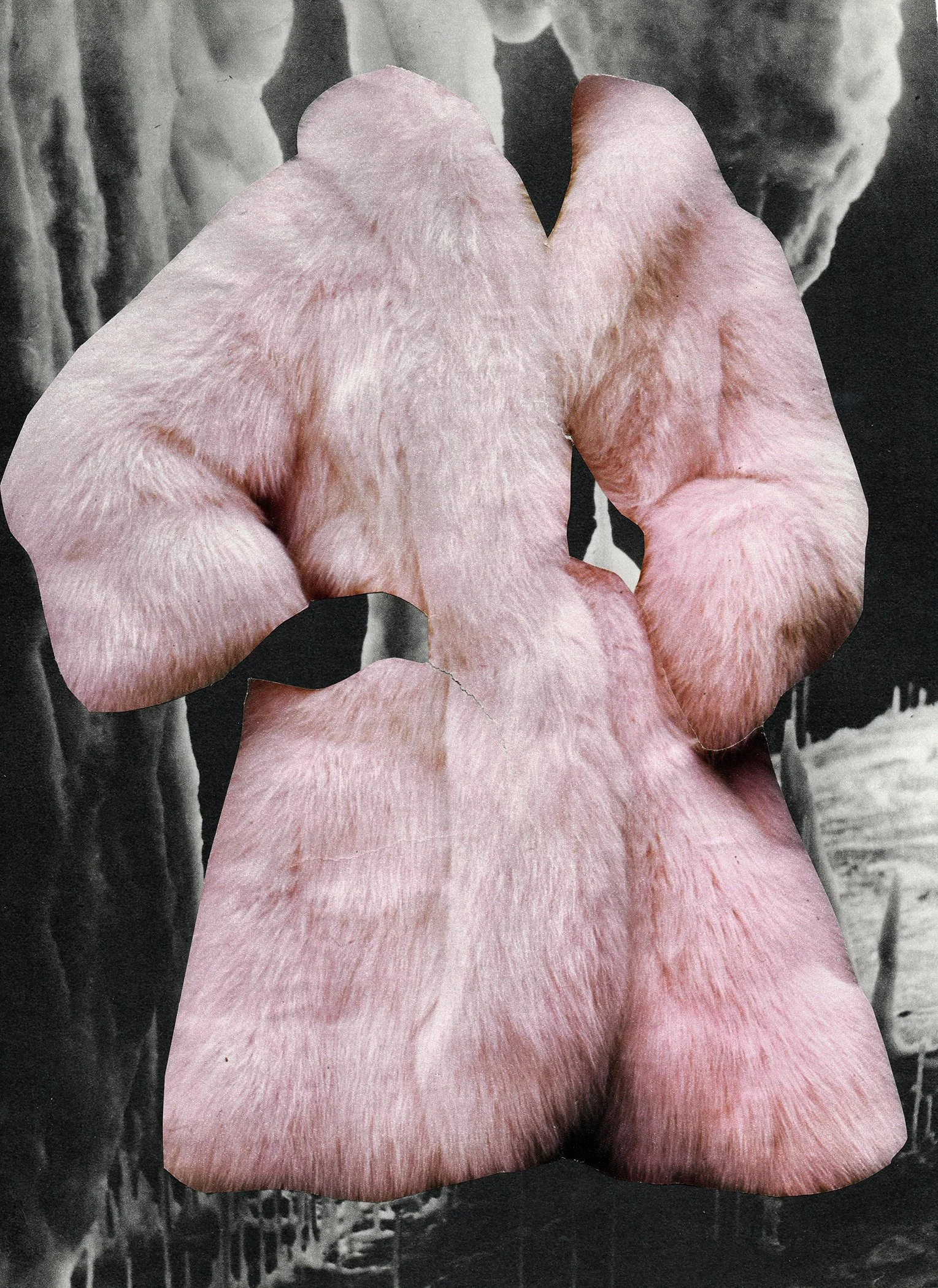 COAT2.jpg