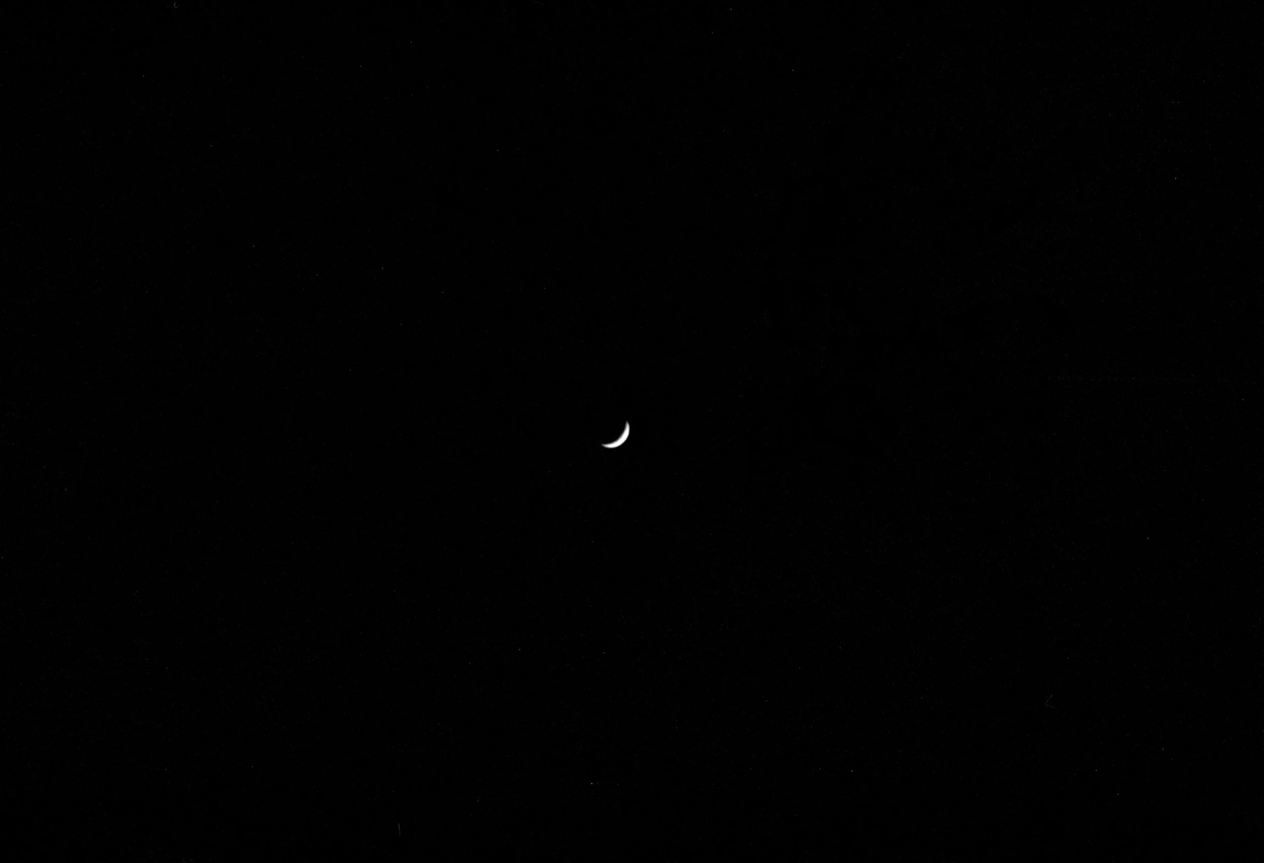 moon1.jpg