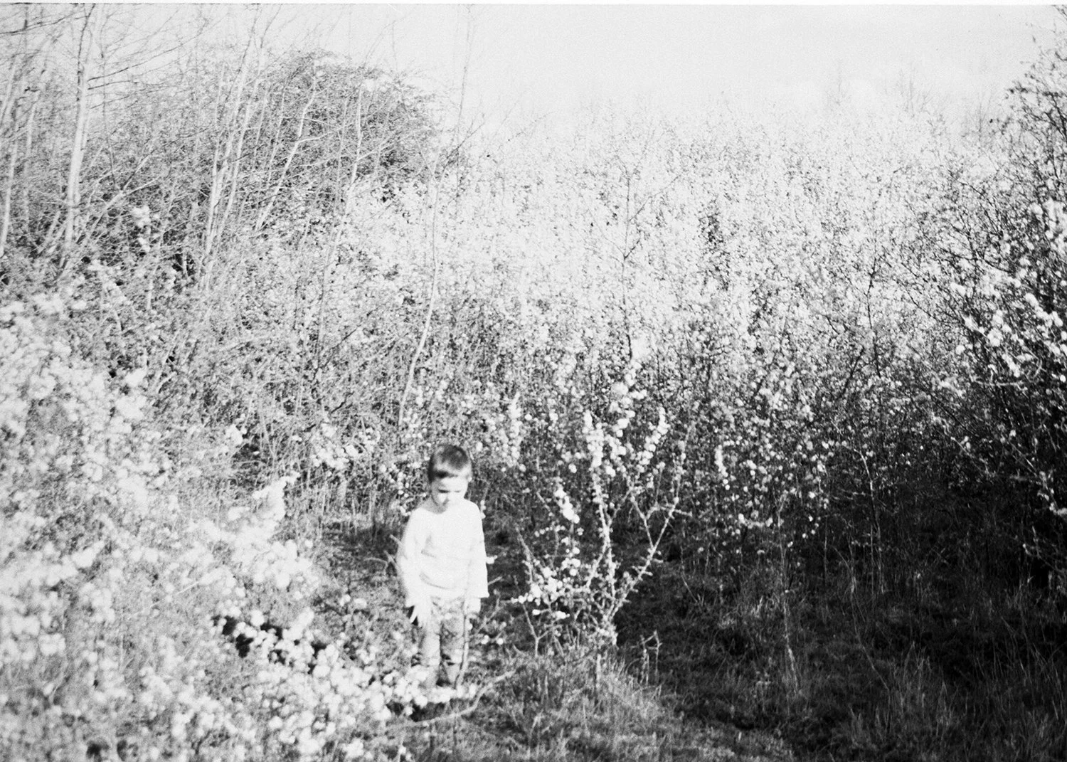 aymeric buisson blanc2.jpg