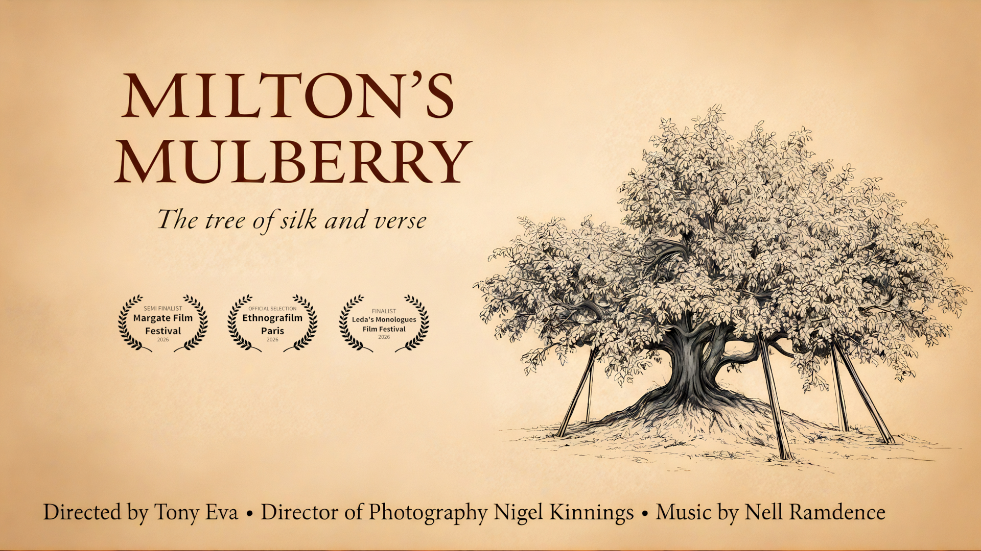 Promotional poster for Milton's Mulberry, a film about the tree of silk and verse. Directed by Tony Eva, "Milton's Mulberry" received official nominations at the Margate Film Festival, Ethnografilm Paris, and Leda's Monologues Film Festival in 2026.